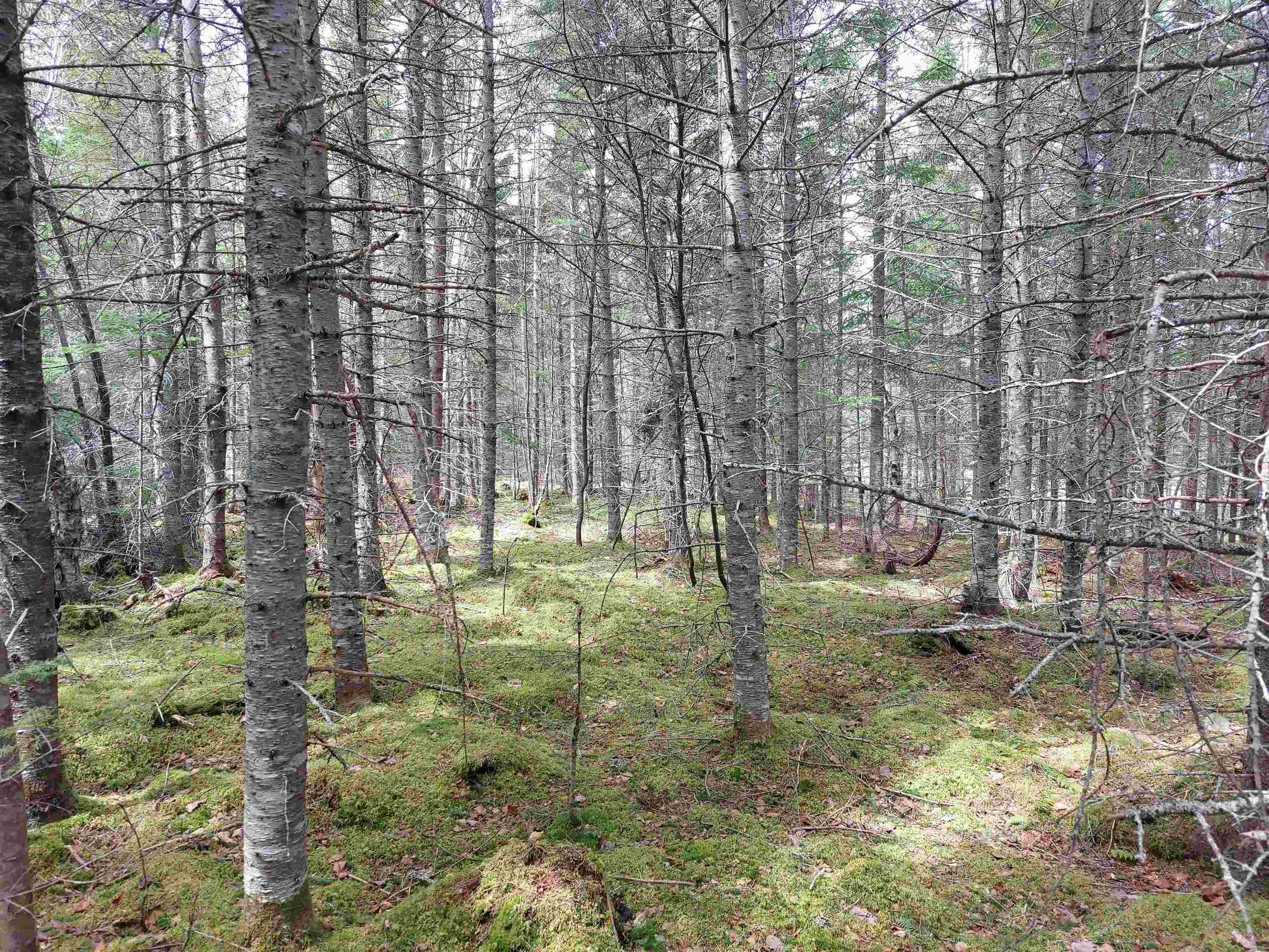 $49,000.00: Lot 25 Andreas Popp Lane, Evanston