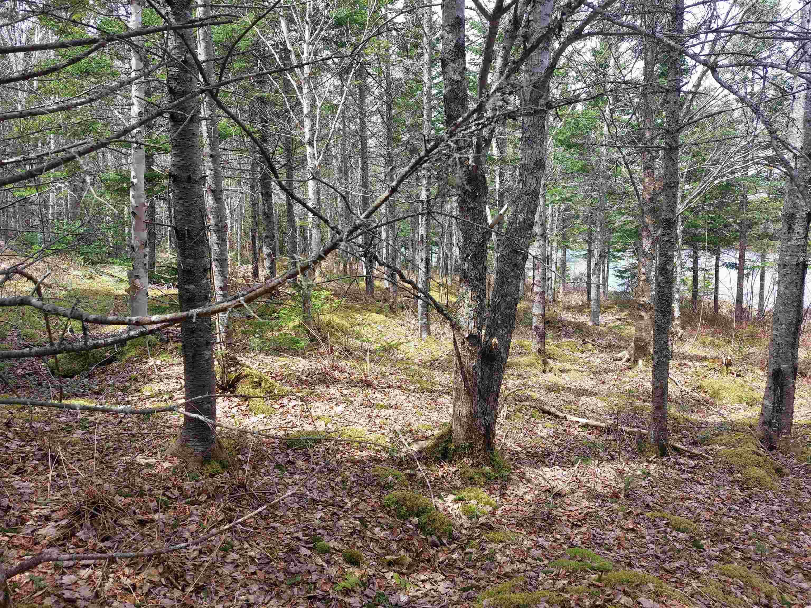 $49,000.00: Lot 25 Andreas Popp Lane, Evanston