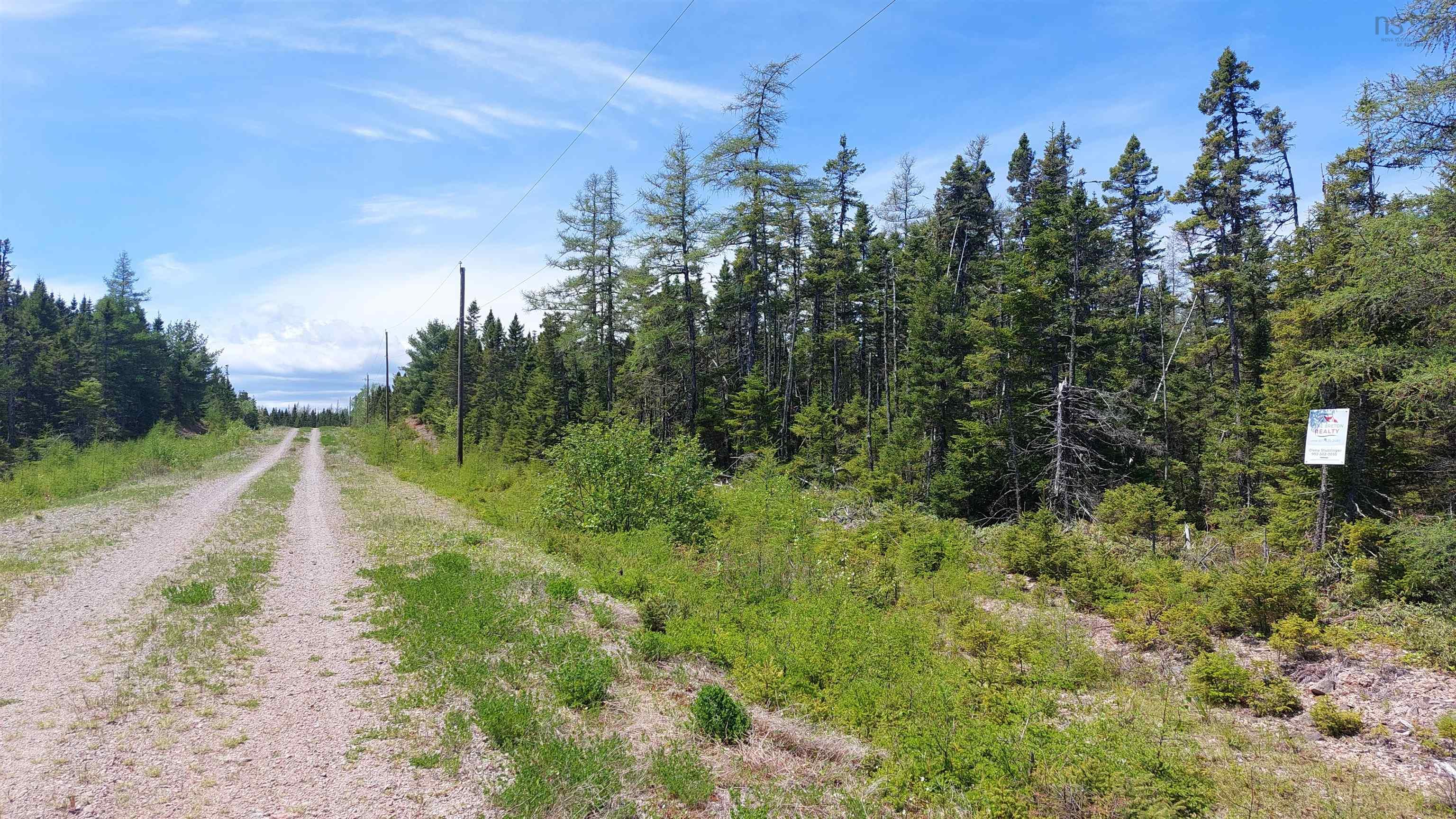 $49,000.00: Lot 25 Andreas Popp Lane, Evanston