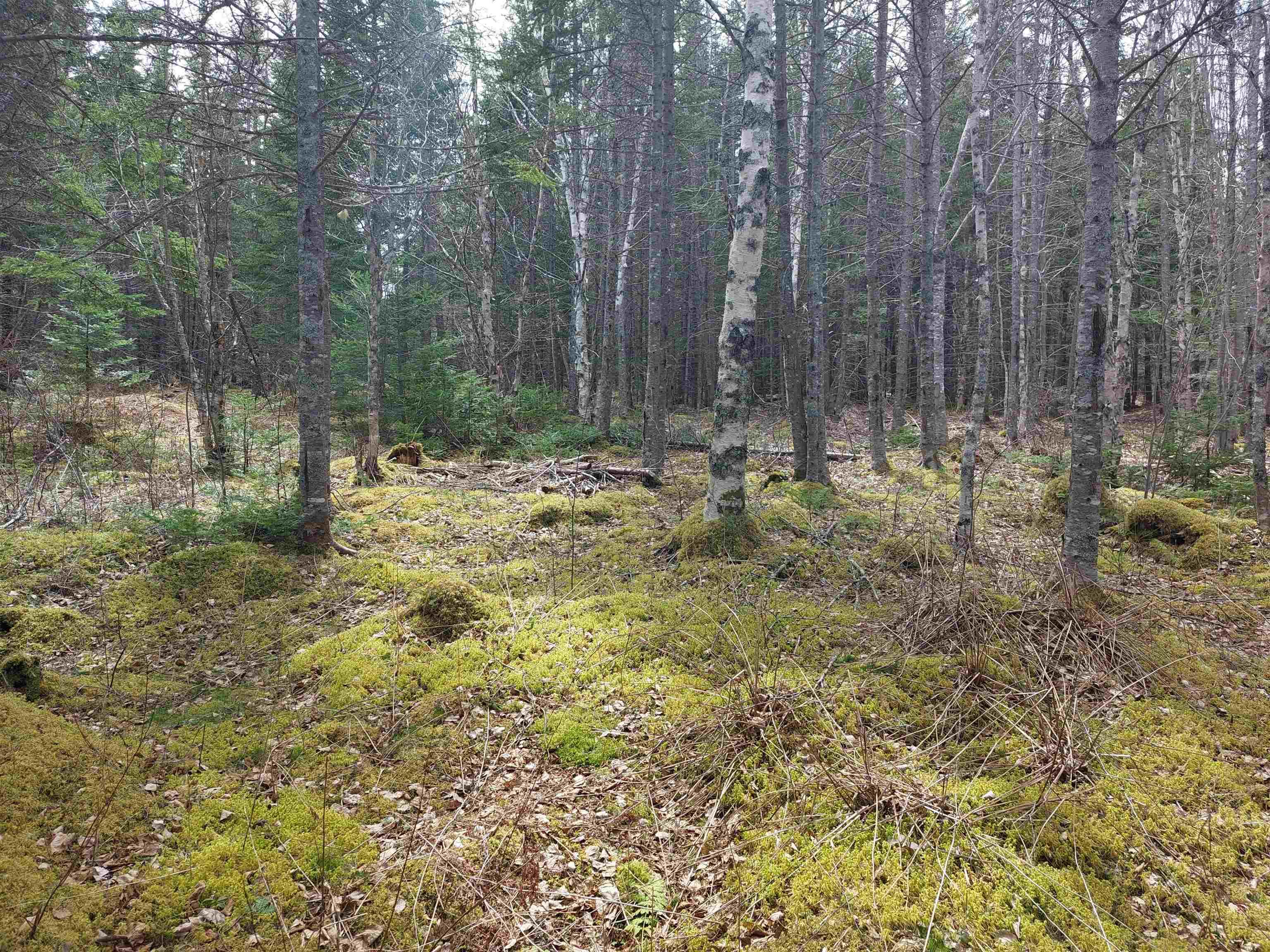 $49,000.00: Lot 25 Andreas Popp Lane, Evanston