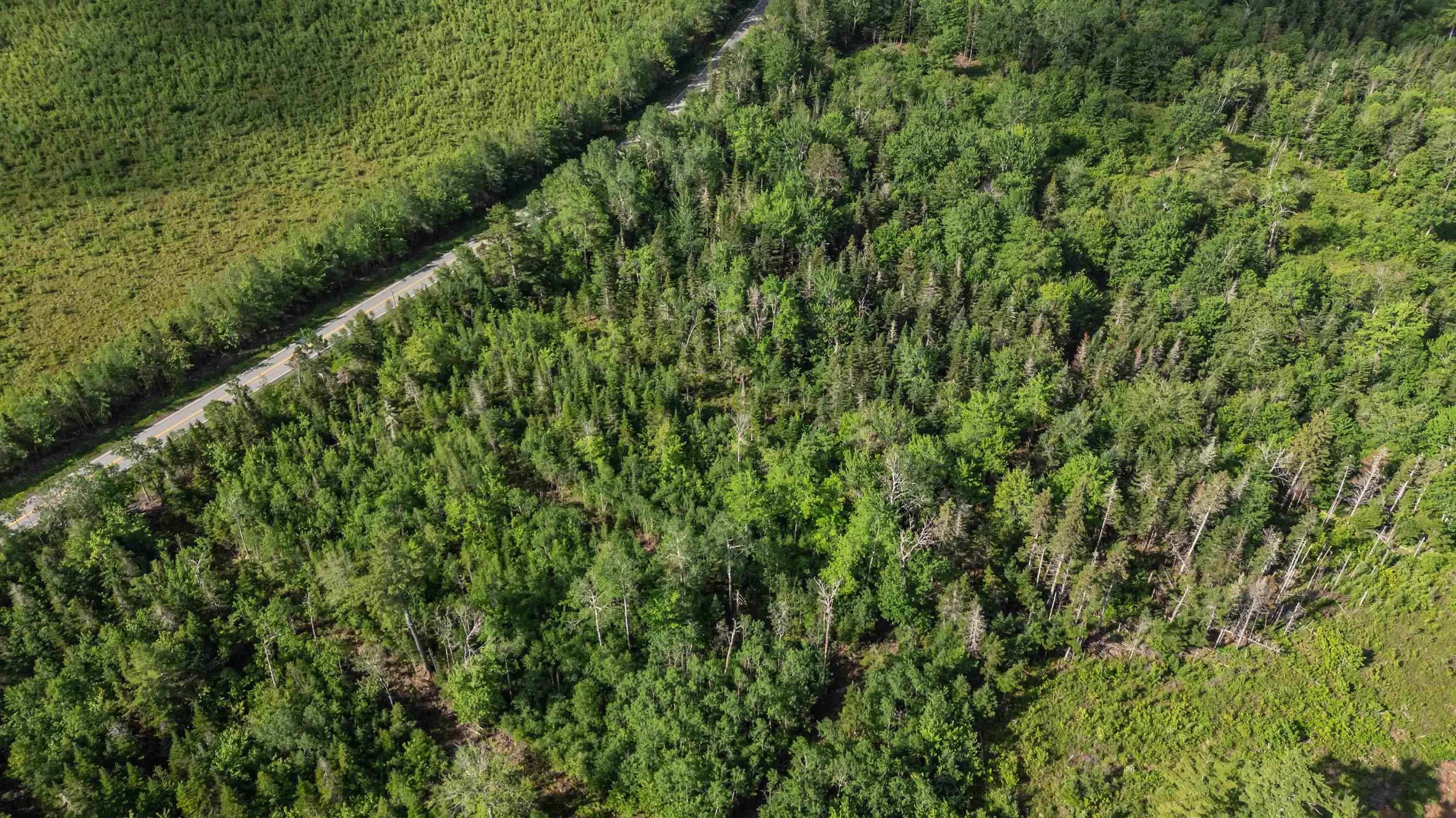 $499,900.00: Lot 10 Bishop Road, Riverside Corner