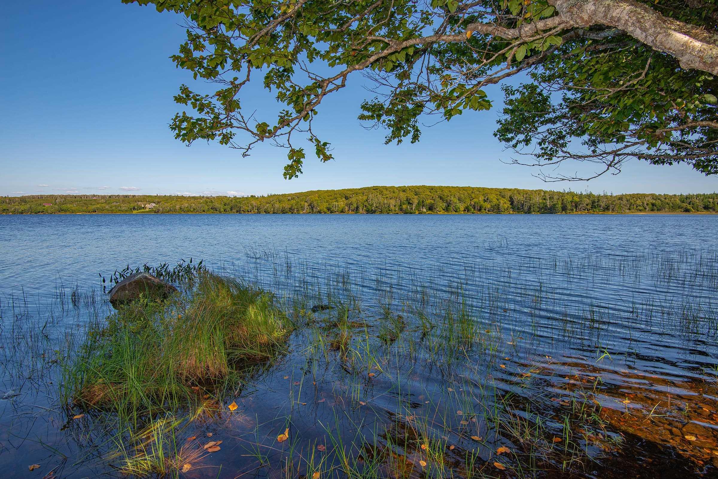 $999,900.00: Lot, Highway 1, Port Maitland