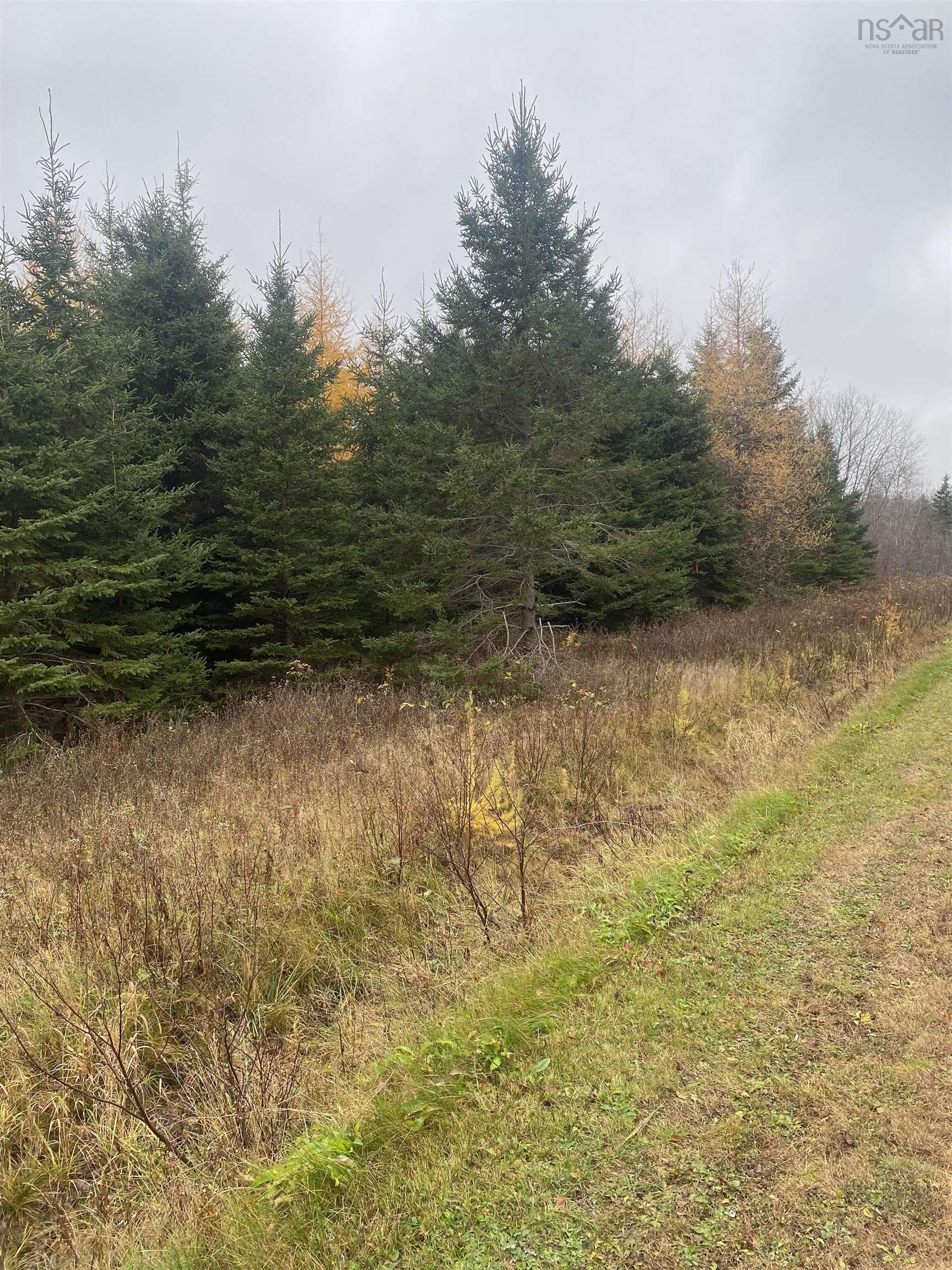 $29,900.00: LOT 7 New Cheverie Road, Lower Burlington