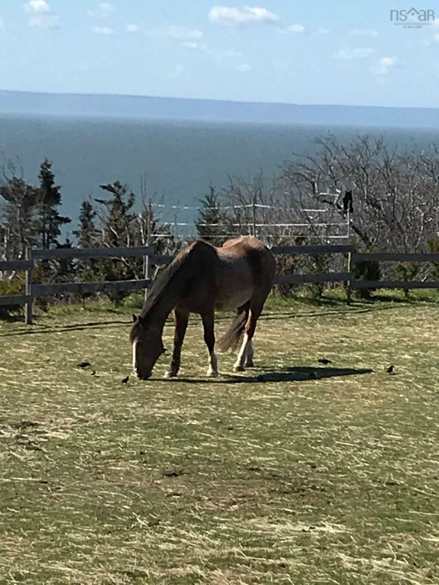 $675,000.00: 8622 Highway 209, Port Greville