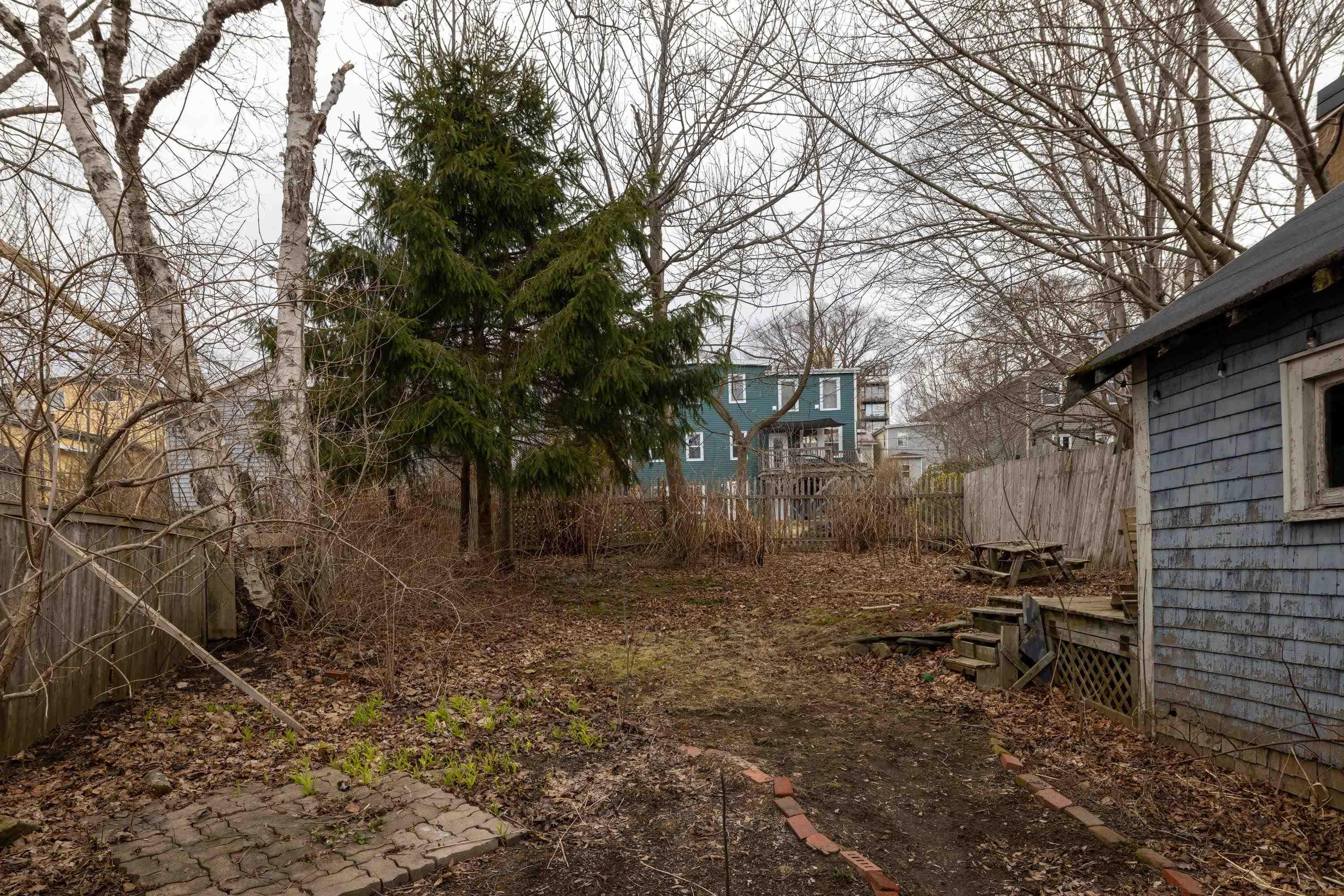 53 Dahlia Street, Dartmouth, NS (MLS 202608499)