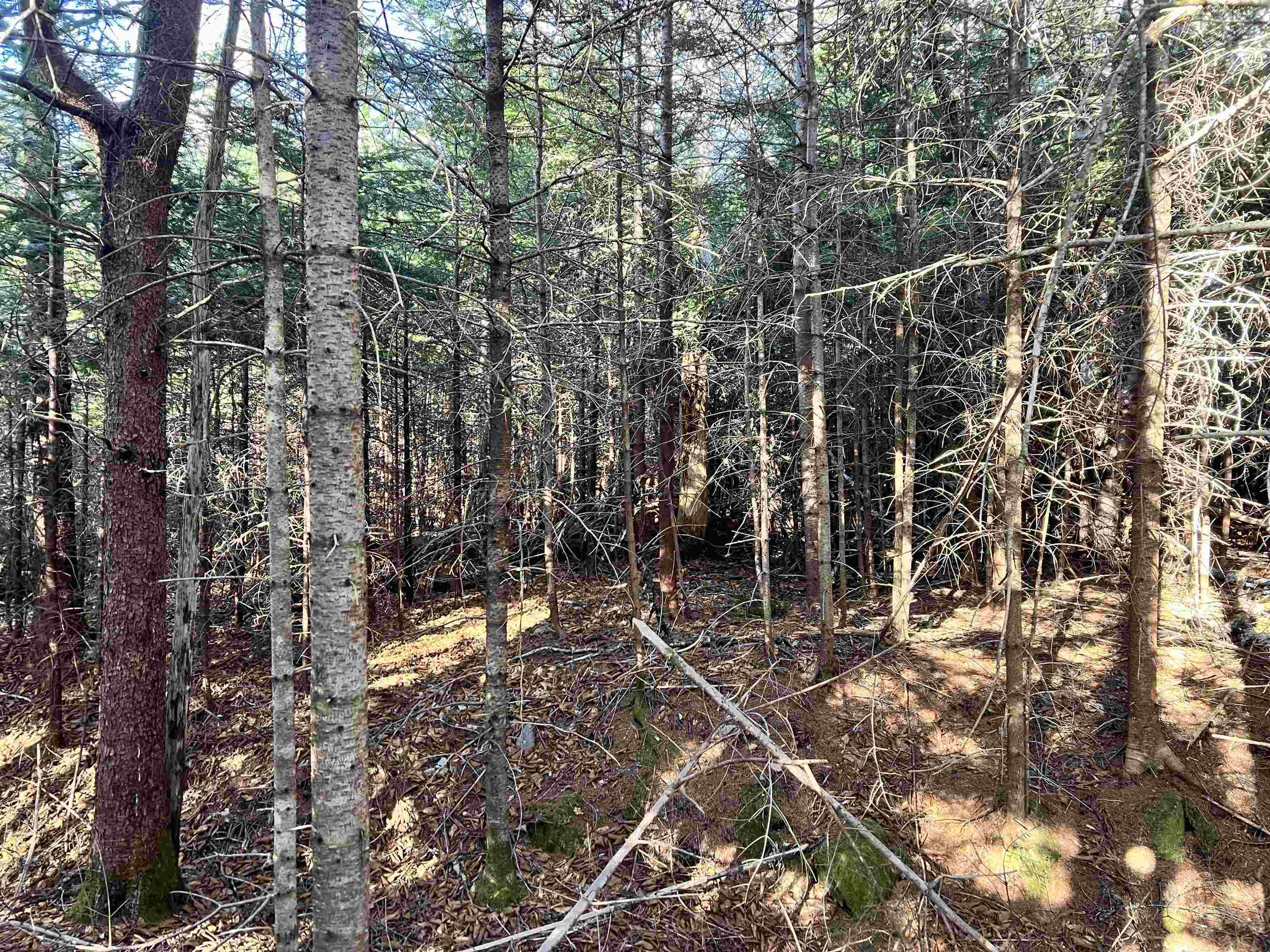 $49,900.00: Highway 7 Highway, Stillwater