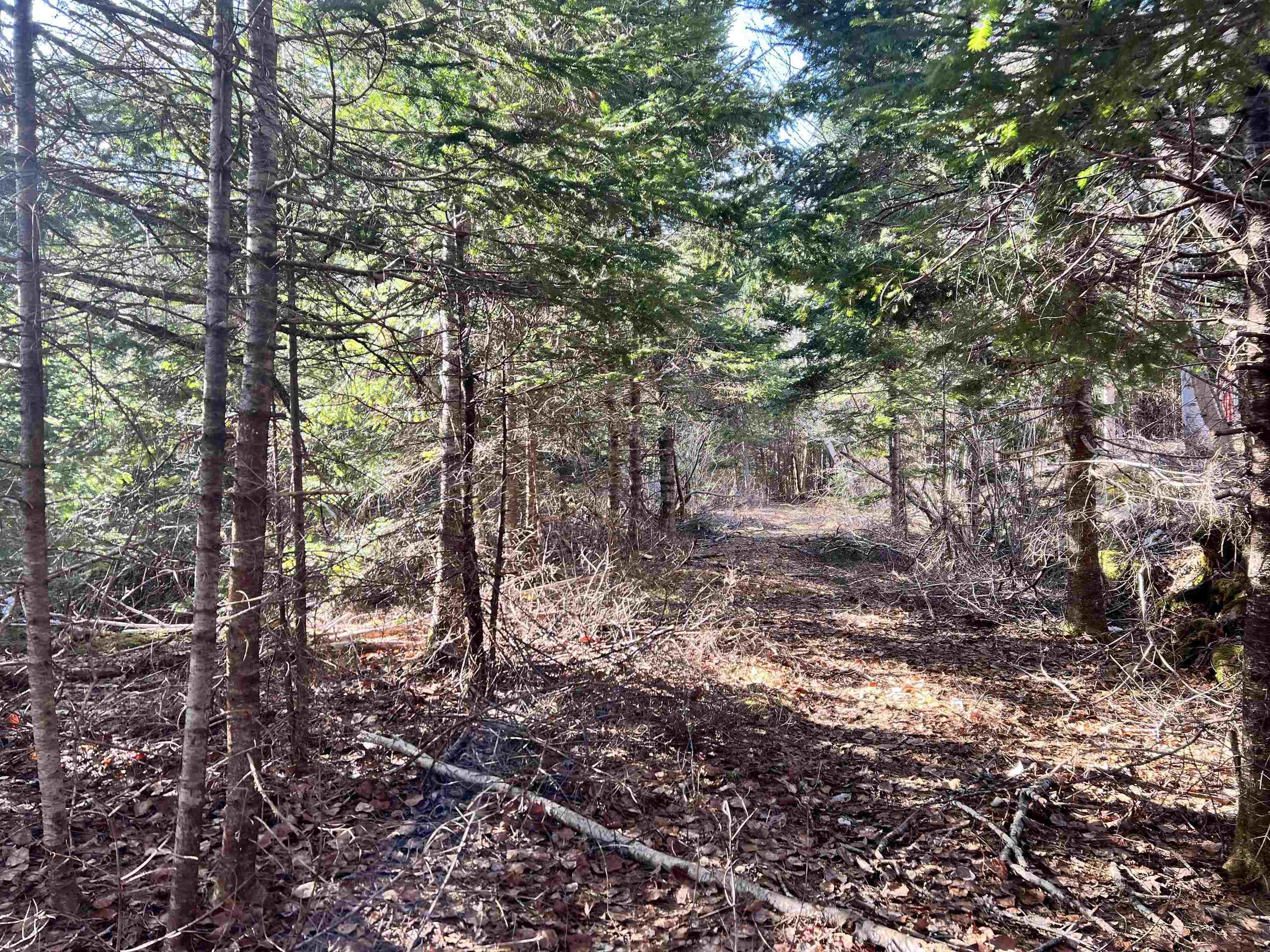 $49,900.00: Highway 7 Highway, Stillwater