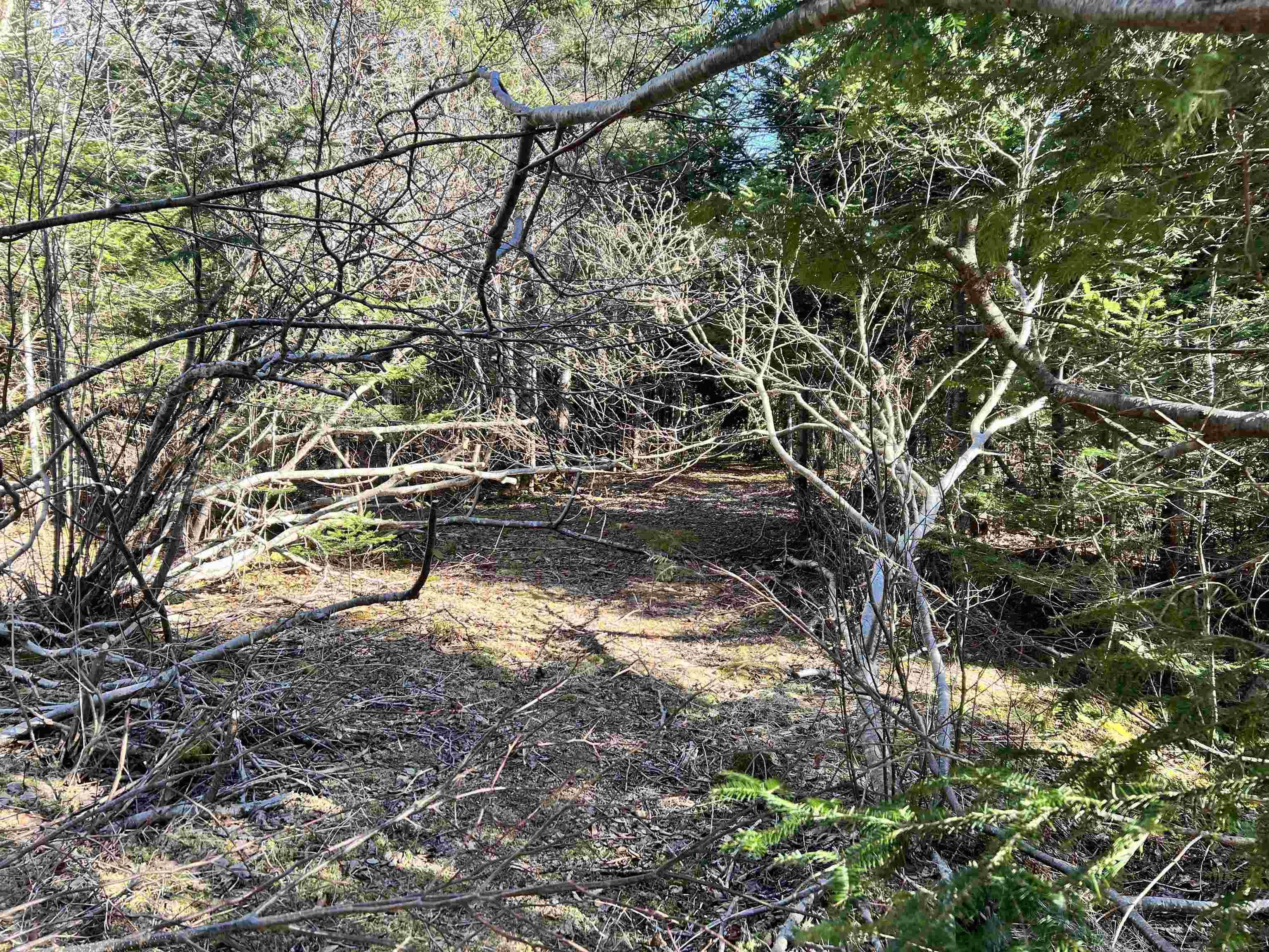 $49,900.00: Highway 7 Highway, Stillwater