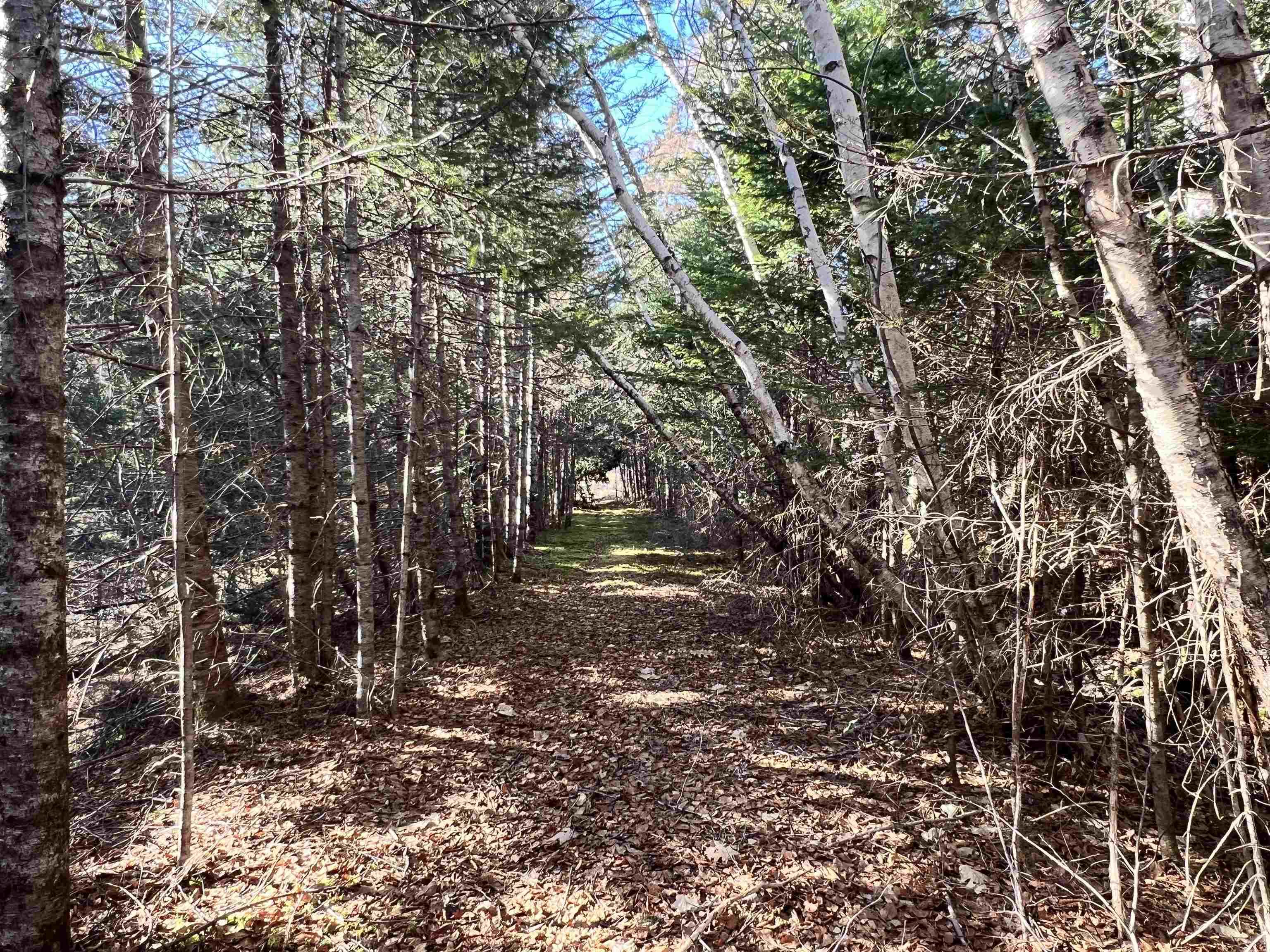 $49,900.00: Highway 7 Highway, Stillwater