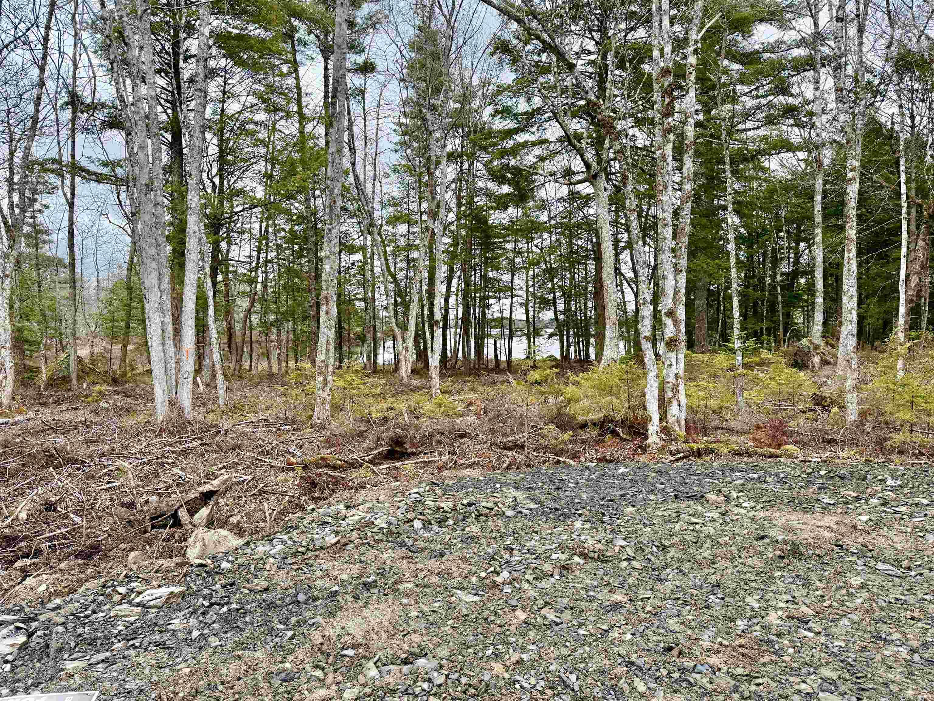 $99,000.00: No 8 Highway, Milton