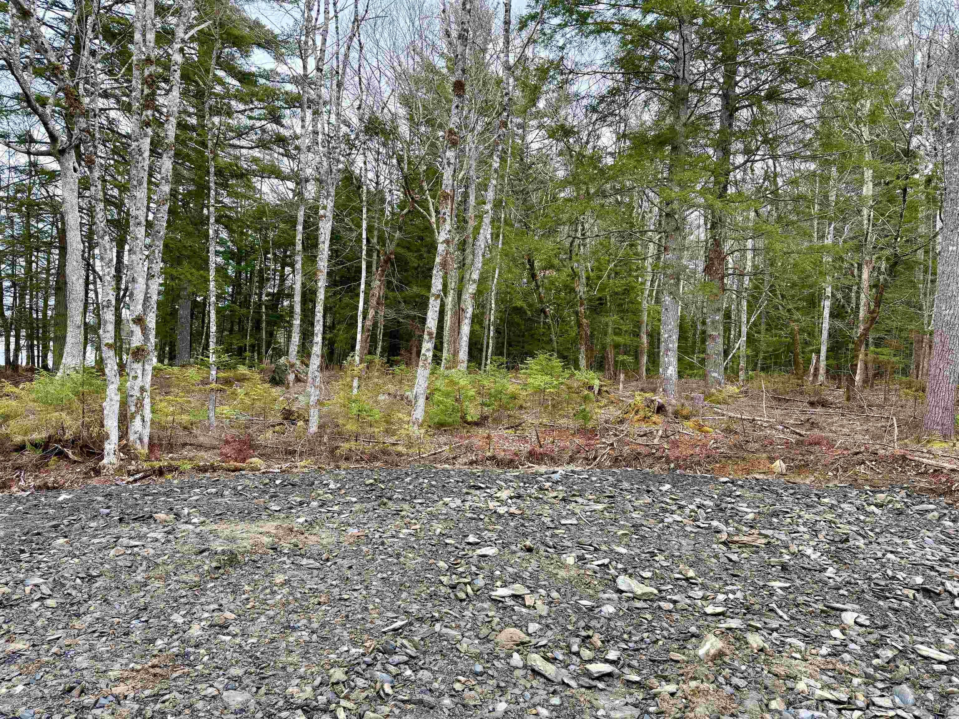 $99,000.00: No 8 Highway, Milton