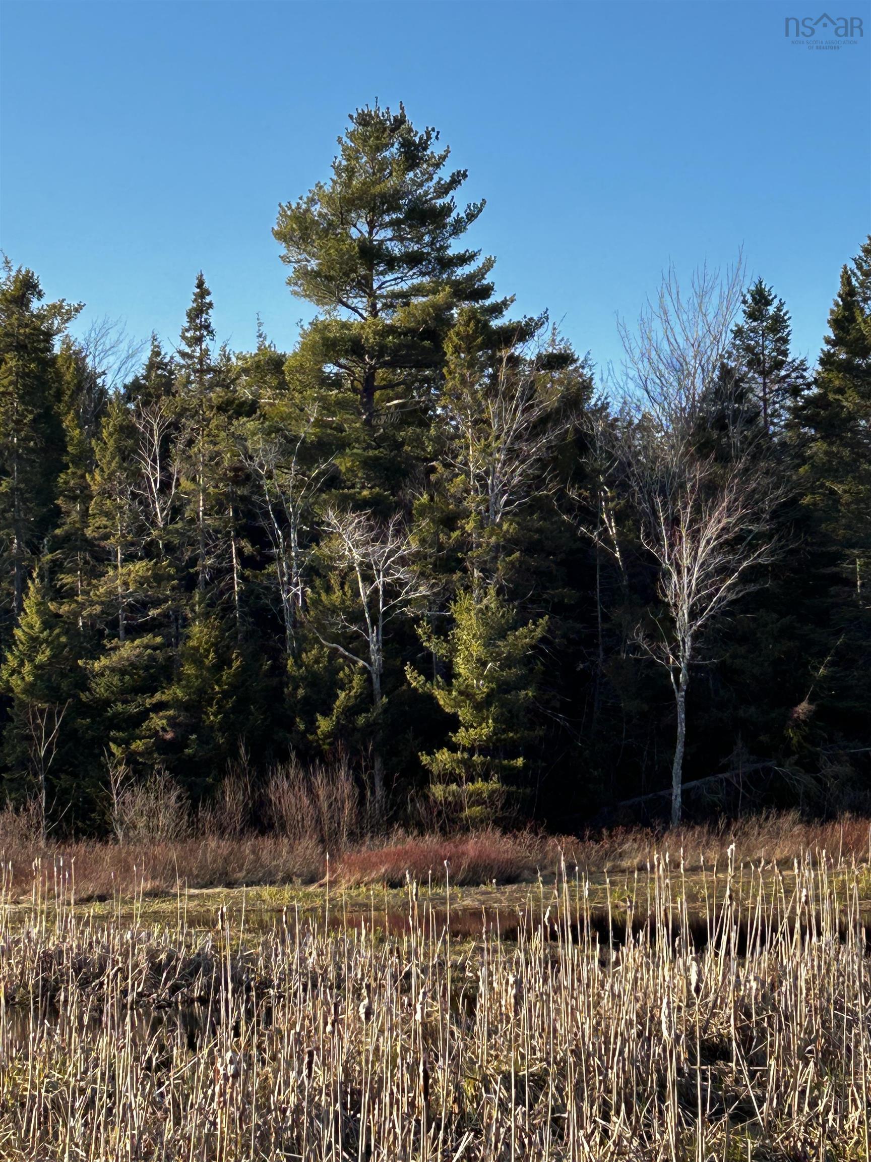 $39,900.00: Lot EAN-1B West Tatamagouche Road, Tatamagouche