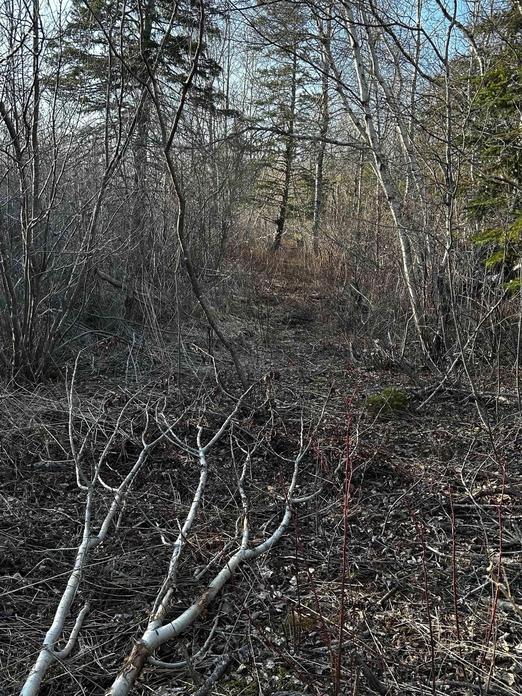 $39,900.00: Lot EAN-1B West Tatamagouche Road, Tatamagouche