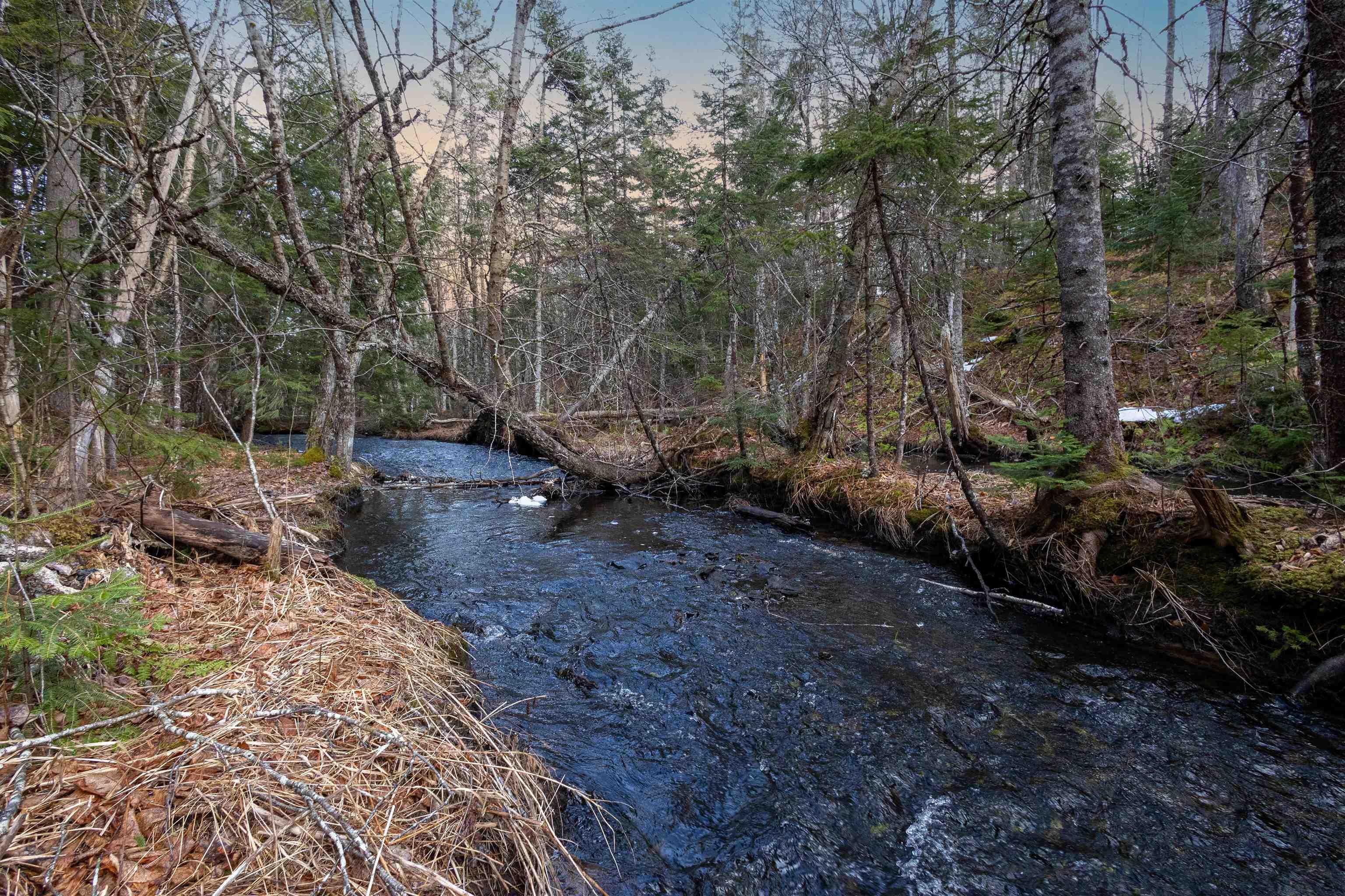 $79,900.00: 0 Merriwold Lane, Caribou Marsh