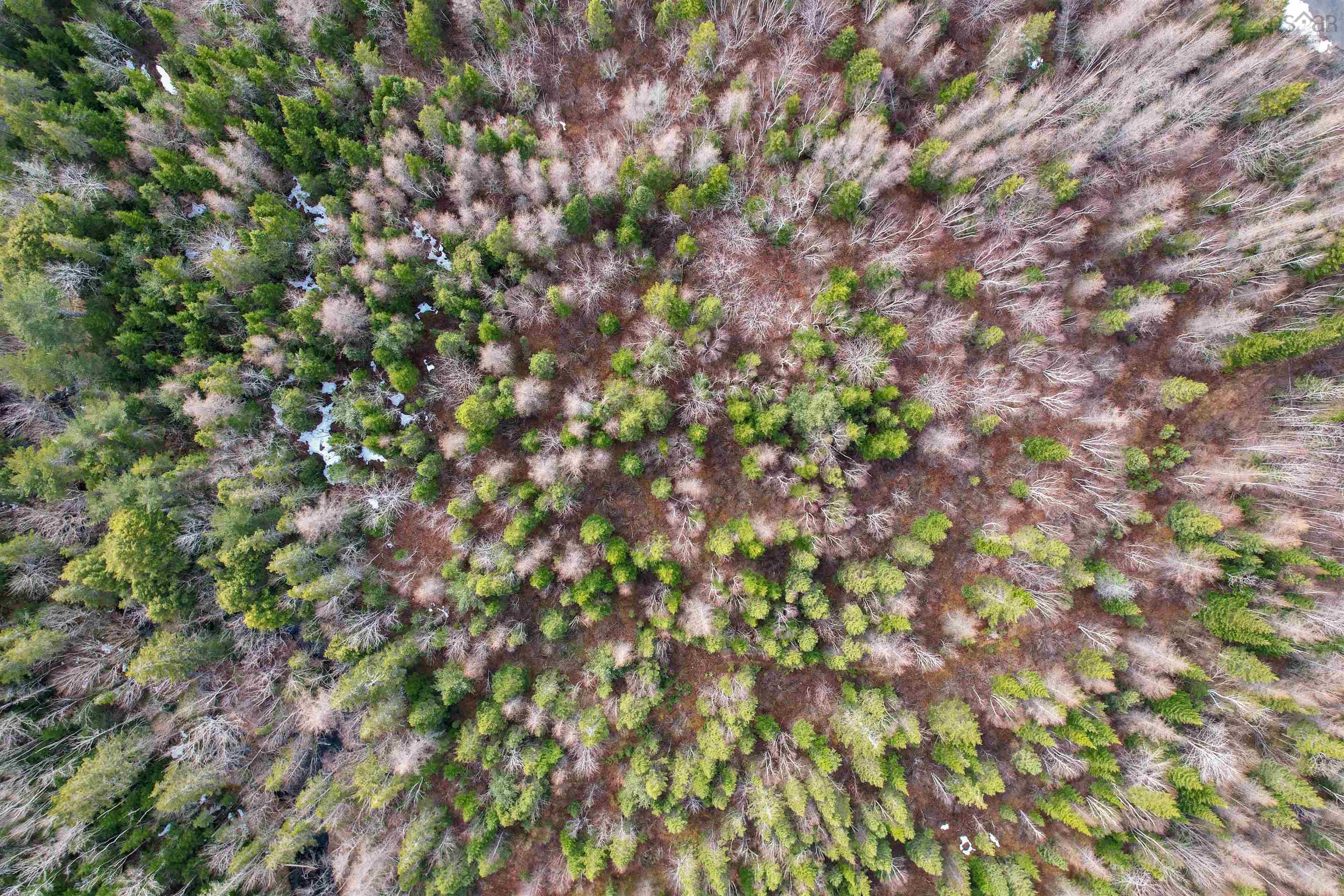 $79,900.00: 0 Merriwold Lane, Caribou Marsh