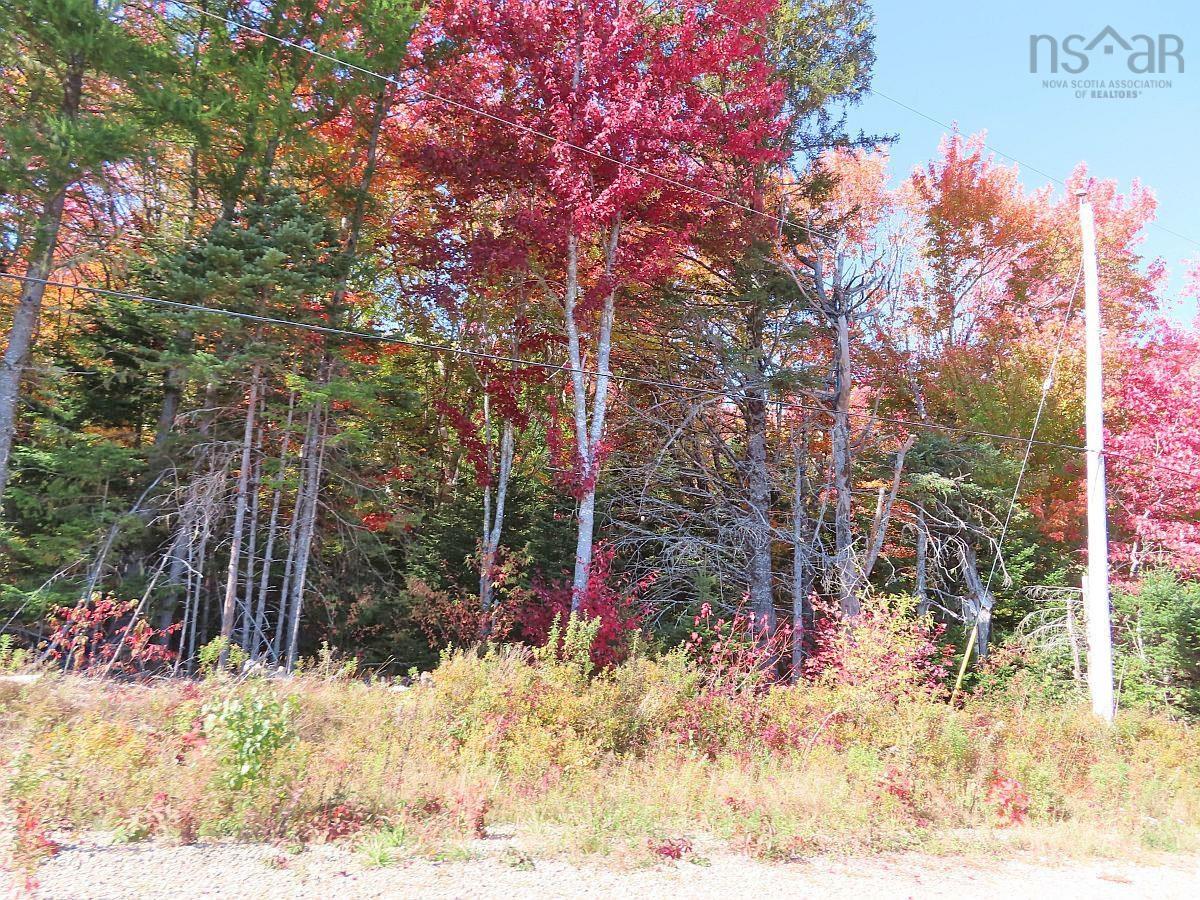 $159,000.00: 128.5 Acres West Side Road, West Side Country Harbour