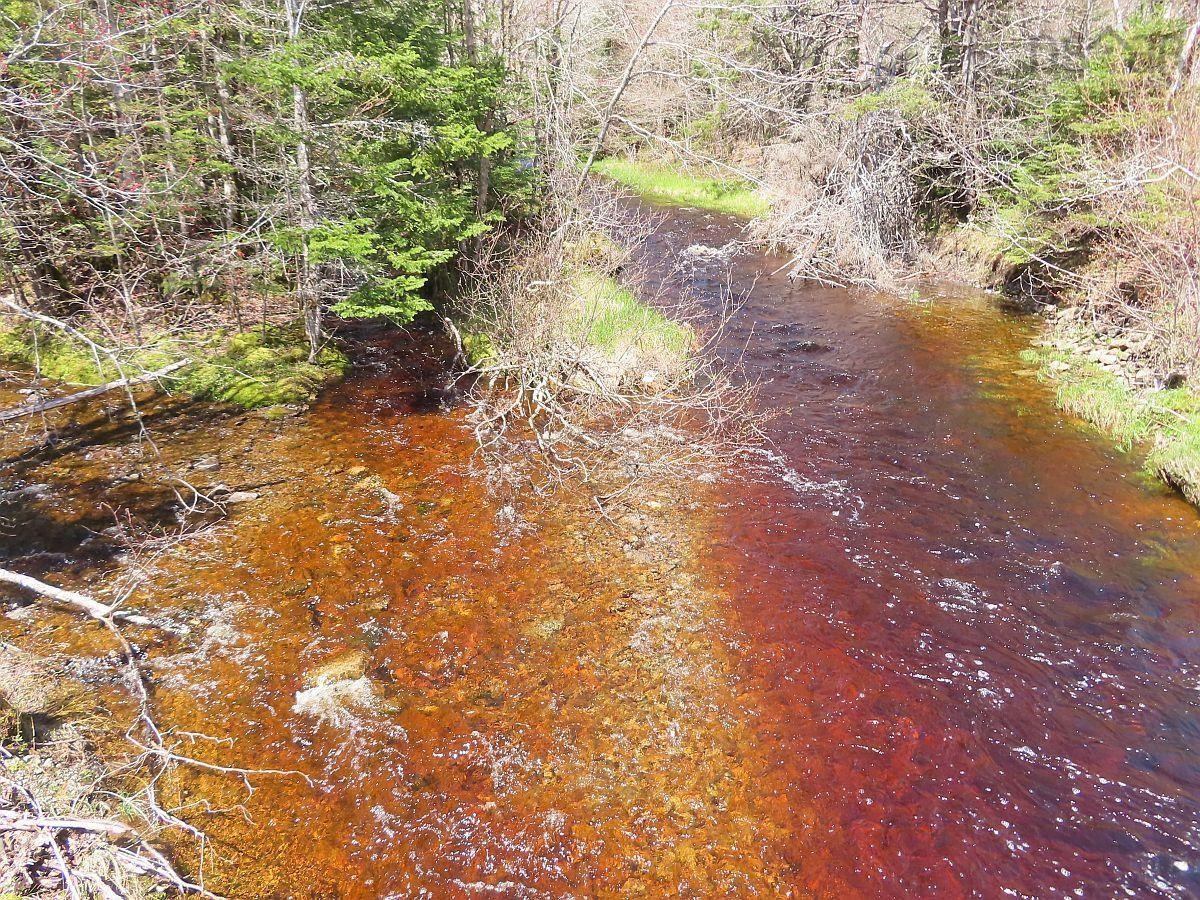$159,000.00: 128.5 Acres West Side Road, West Side Country Harbour