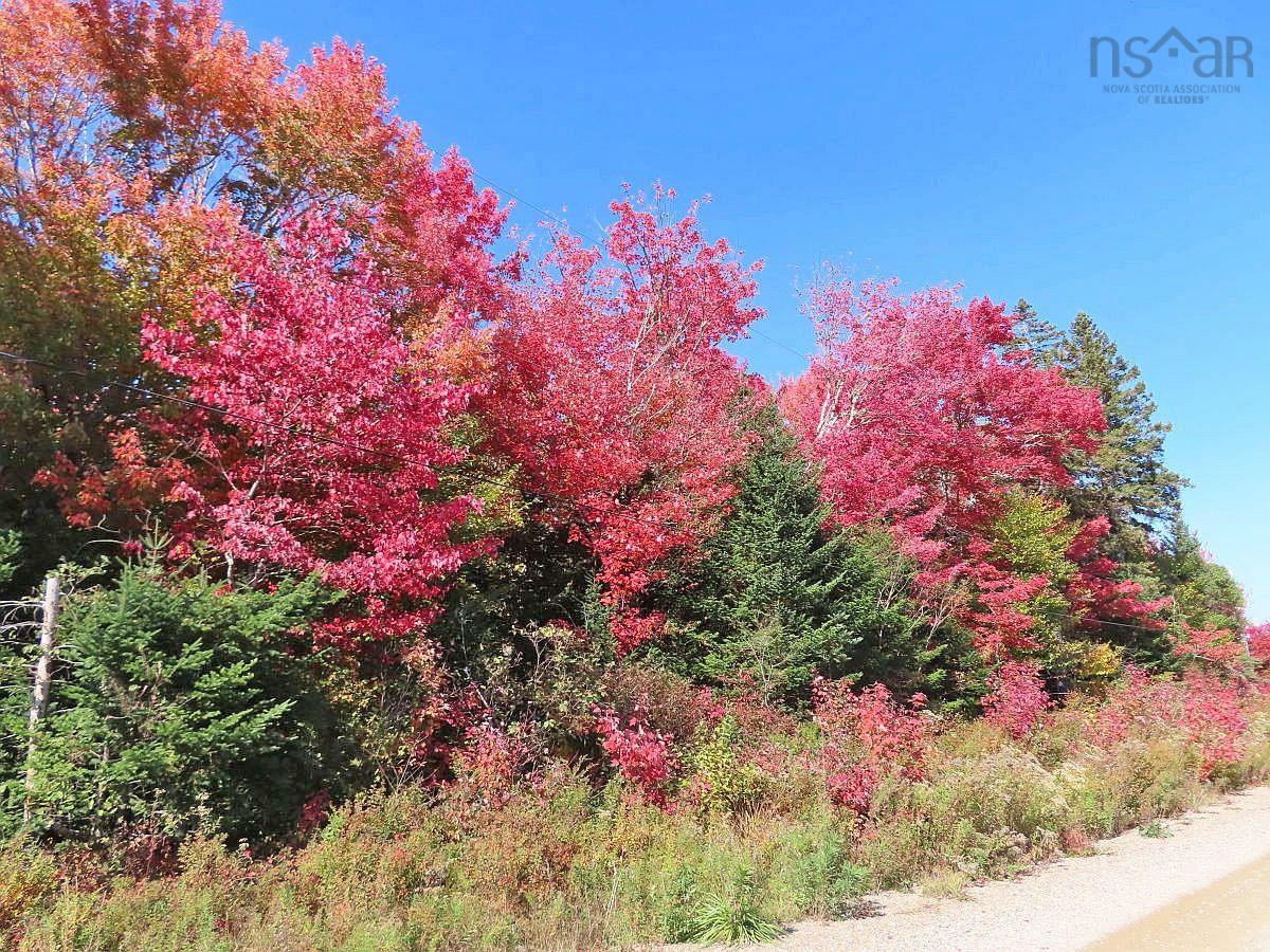 $159,000.00: 128.5 Acres West Side Road, West Side Country Harbour