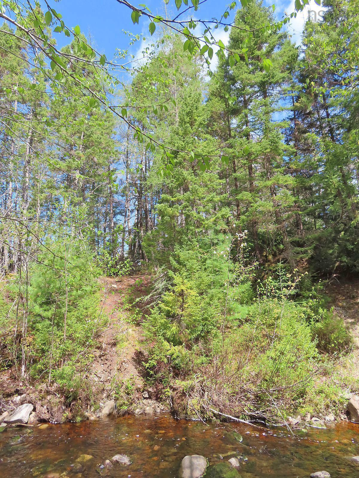 $159,000.00: 128.5 Acres West Side Road, West Side Country Harbour