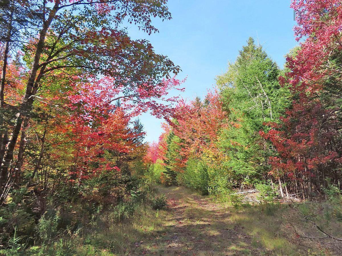 $159,000.00: 128.5 Acres West Side Road, West Side Country Harbour