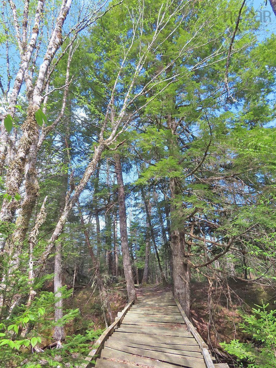 $159,000.00: 128.5 Acres West Side Road, West Side Country Harbour