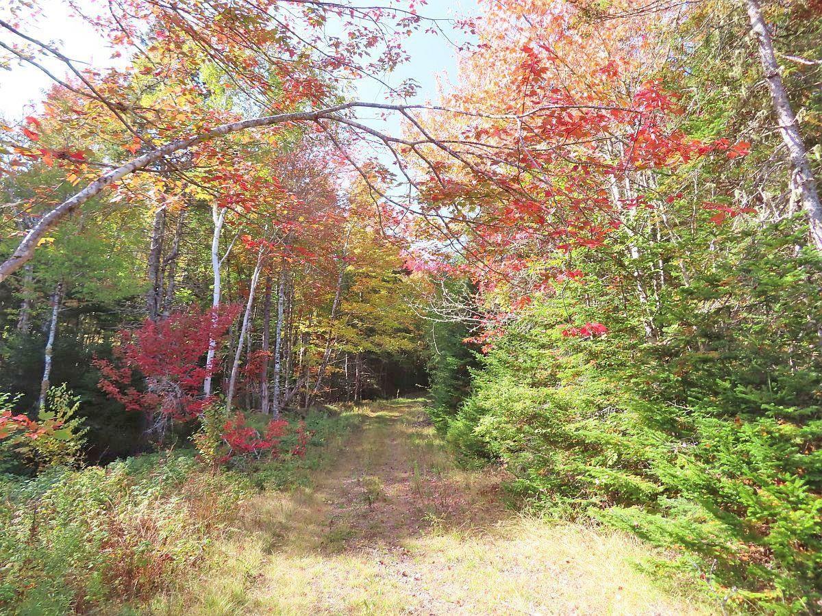 $159,000.00: 128.5 Acres West Side Road, West Side Country Harbour