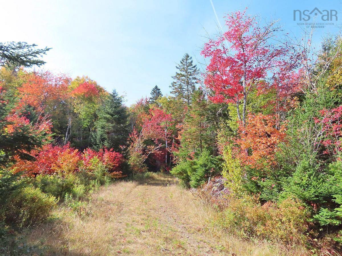 $159,000.00: 128.5 Acres West Side Road, West Side Country Harbour