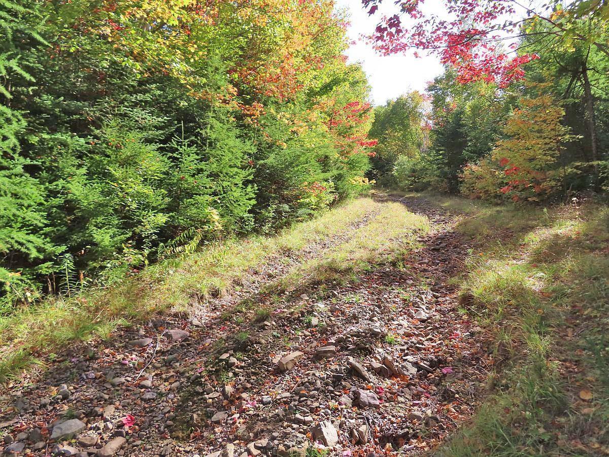 $159,000.00: 128.5 Acres West Side Road, West Side Country Harbour