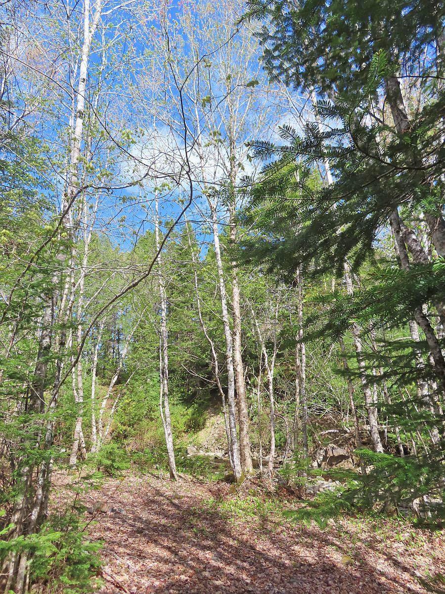 $159,000.00: 128.5 Acres West Side Road, West Side Country Harbour