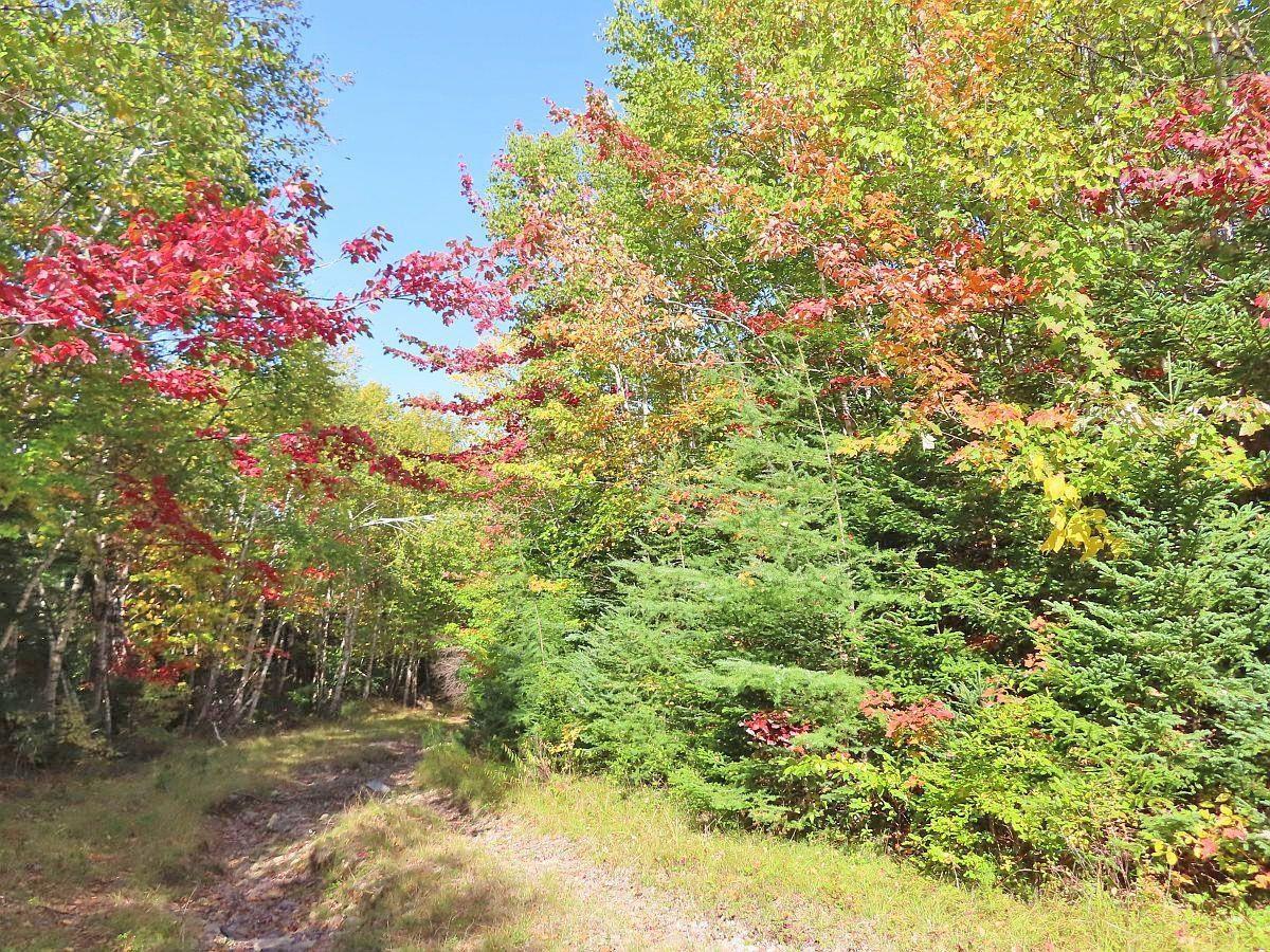 $159,000.00: 128.5 Acres West Side Road, West Side Country Harbour