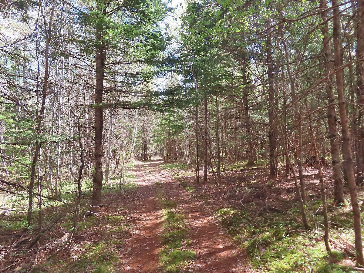$159,000.00: 128.5 Acres West Side Road, West Side Country Harbour