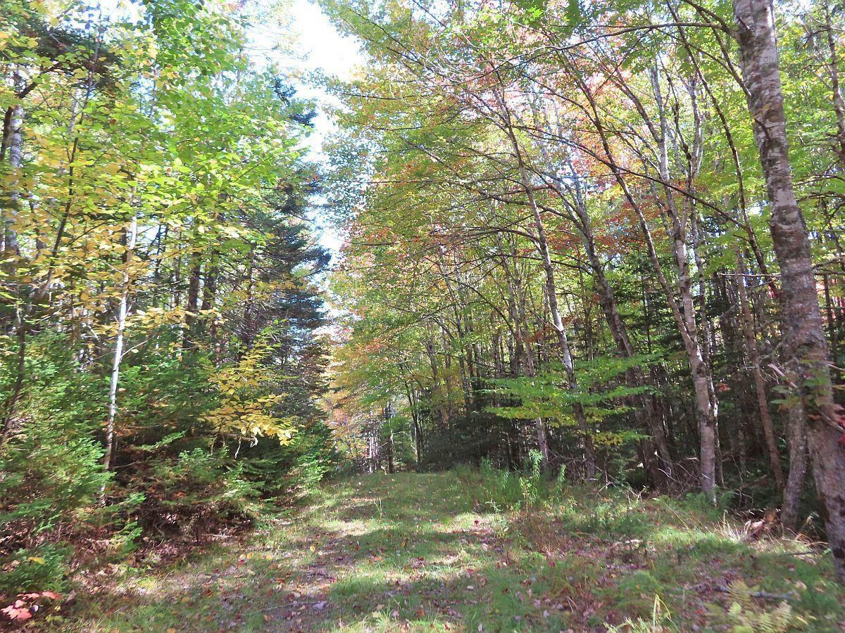 $159,000.00: 128.5 Acres West Side Road, West Side Country Harbour