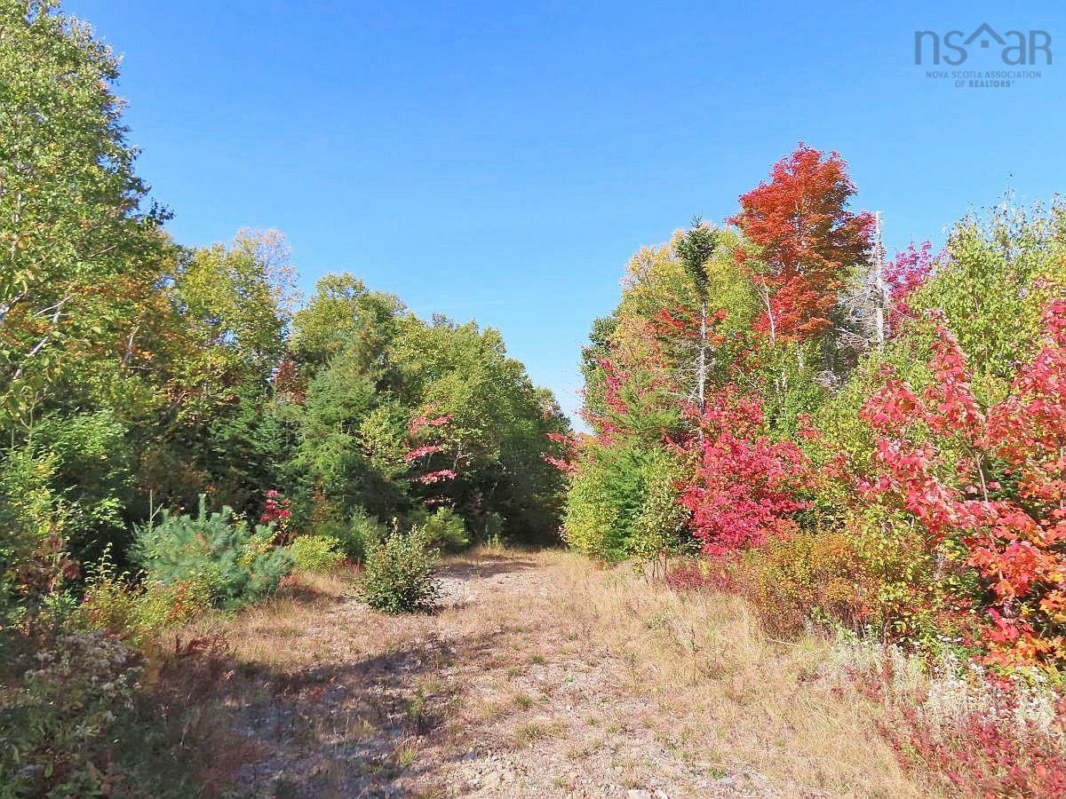 $159,000.00: 128.5 Acres West Side Road, West Side Country Harbour