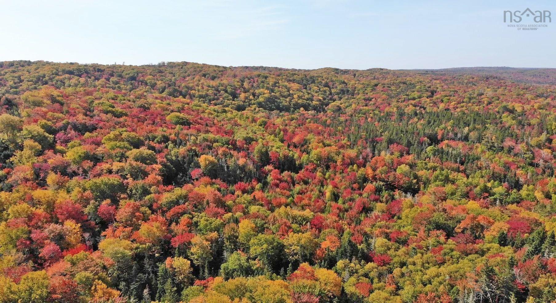 $159,000.00: 128.5 Acres West Side Road, West Side Country Harbour