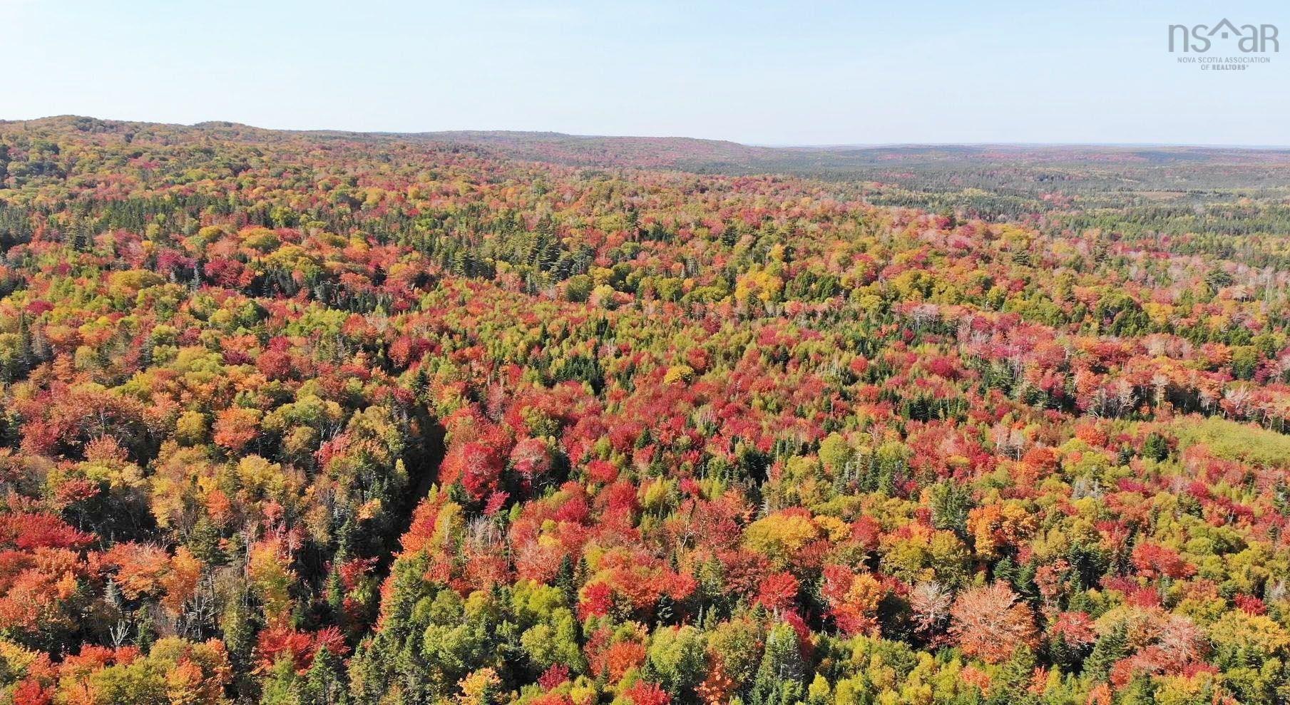 $159,000.00: 128.5 Acres West Side Road, West Side Country Harbour