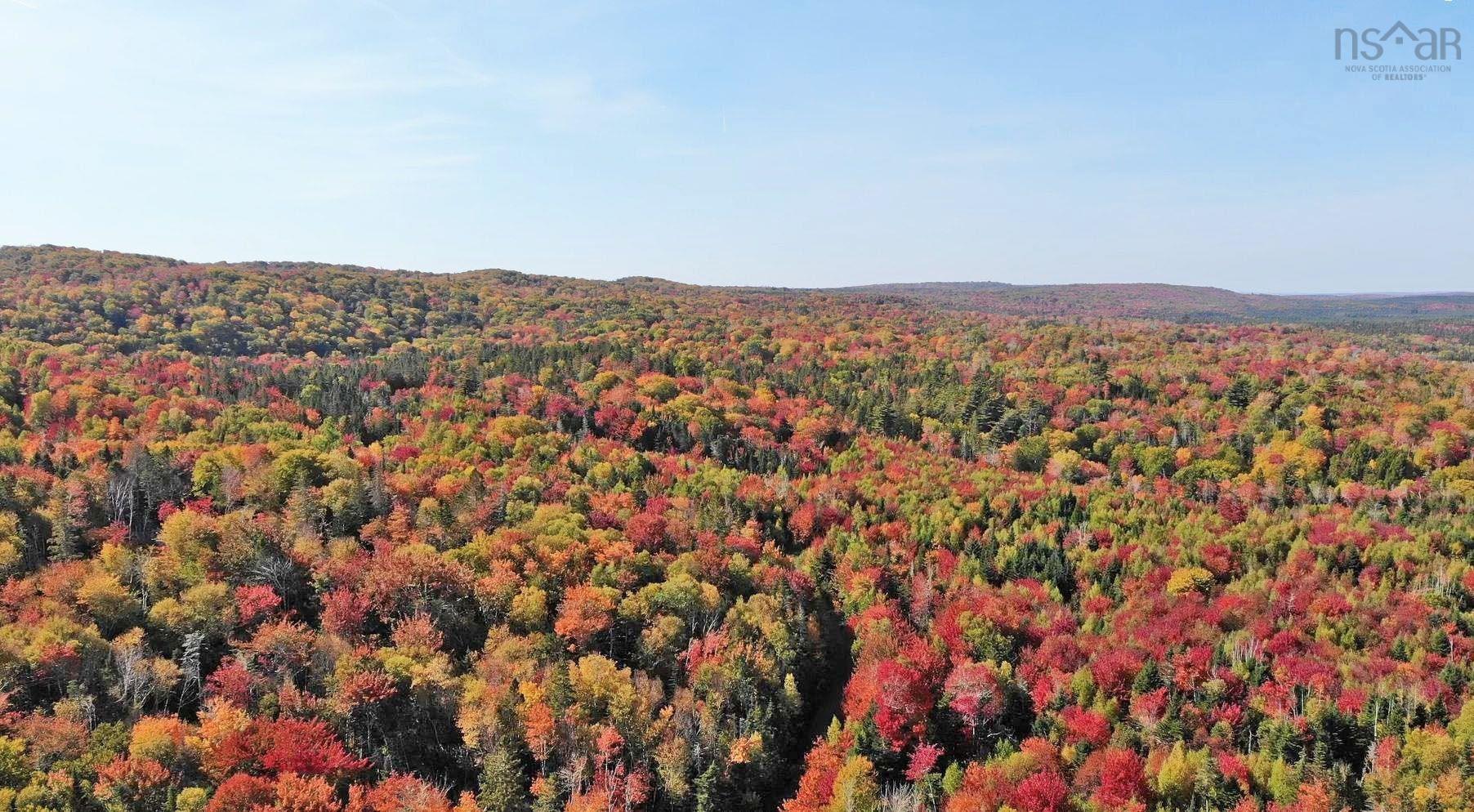 $159,000.00: 128.5 Acres West Side Road, West Side Country Harbour