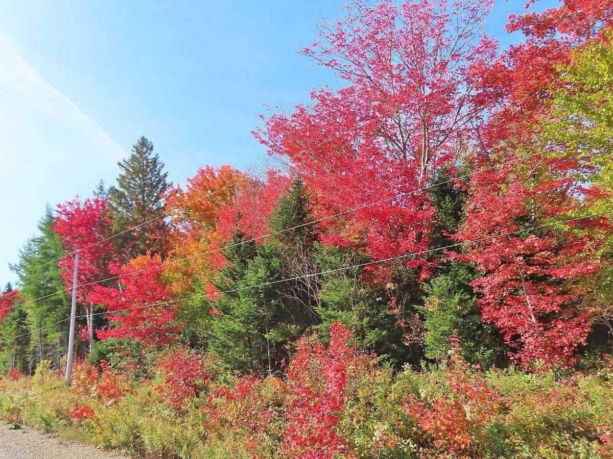 $159,000.00: 128.5 Acres West Side Road, West Side Country Harbour