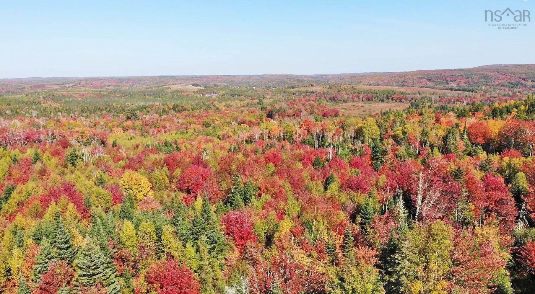 $159,000.00: 128.5 Acres West Side Road, West Side Country Harbour