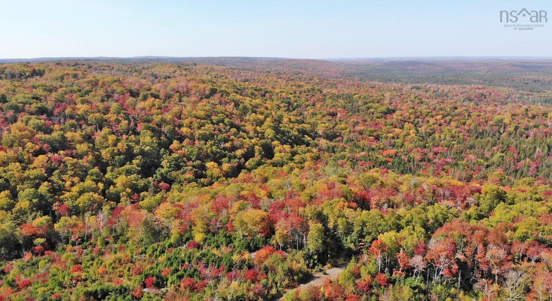 $159,000.00: 128.5 Acres West Side Road, West Side Country Harbour