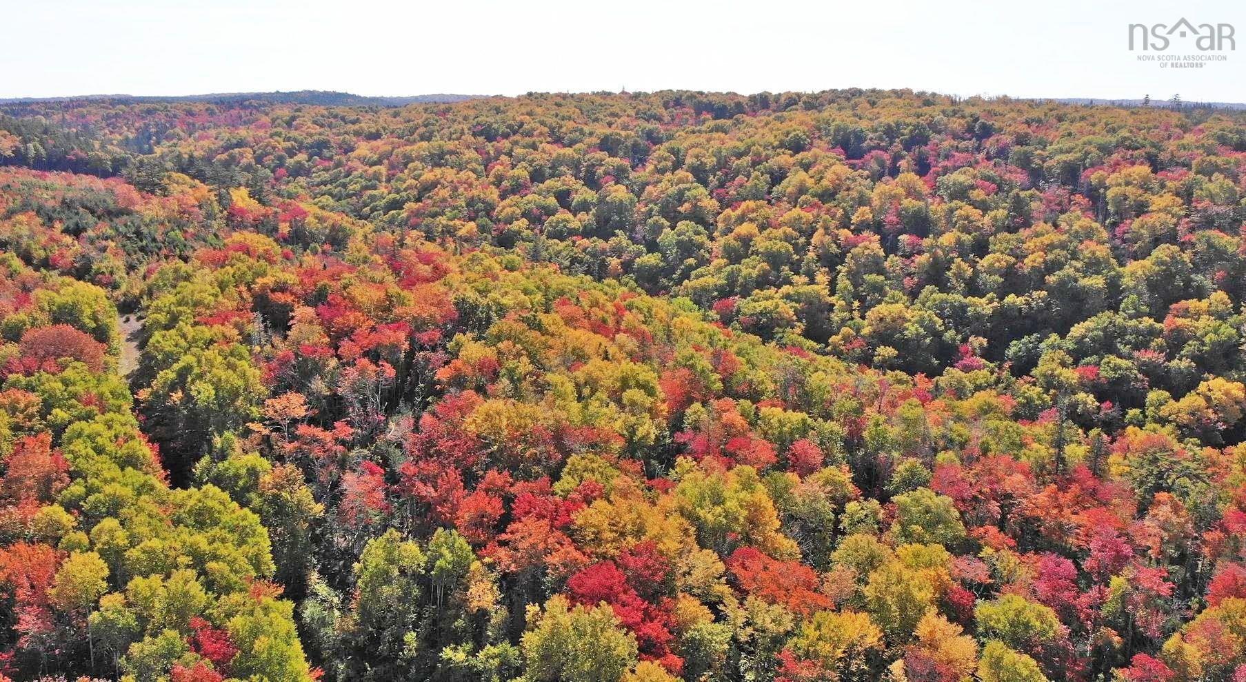 $159,000.00: 128.5 Acres West Side Road, West Side Country Harbour