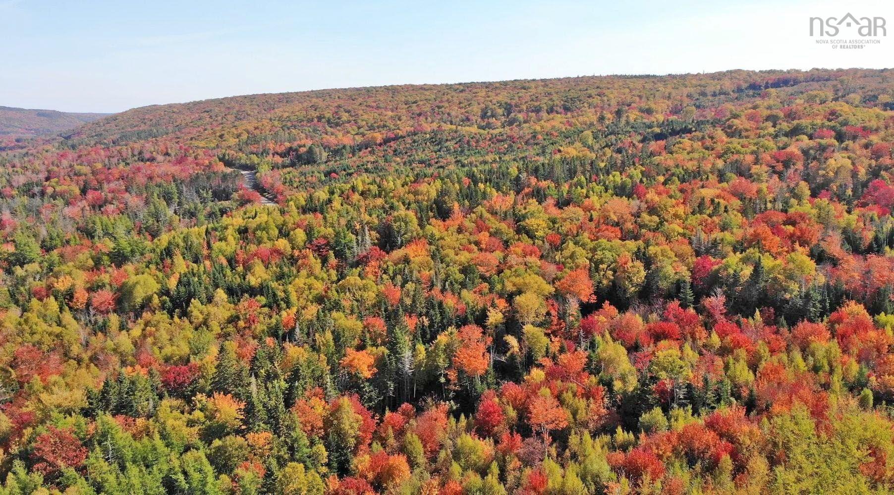 $159,000.00: 128.5 Acres West Side Road, West Side Country Harbour