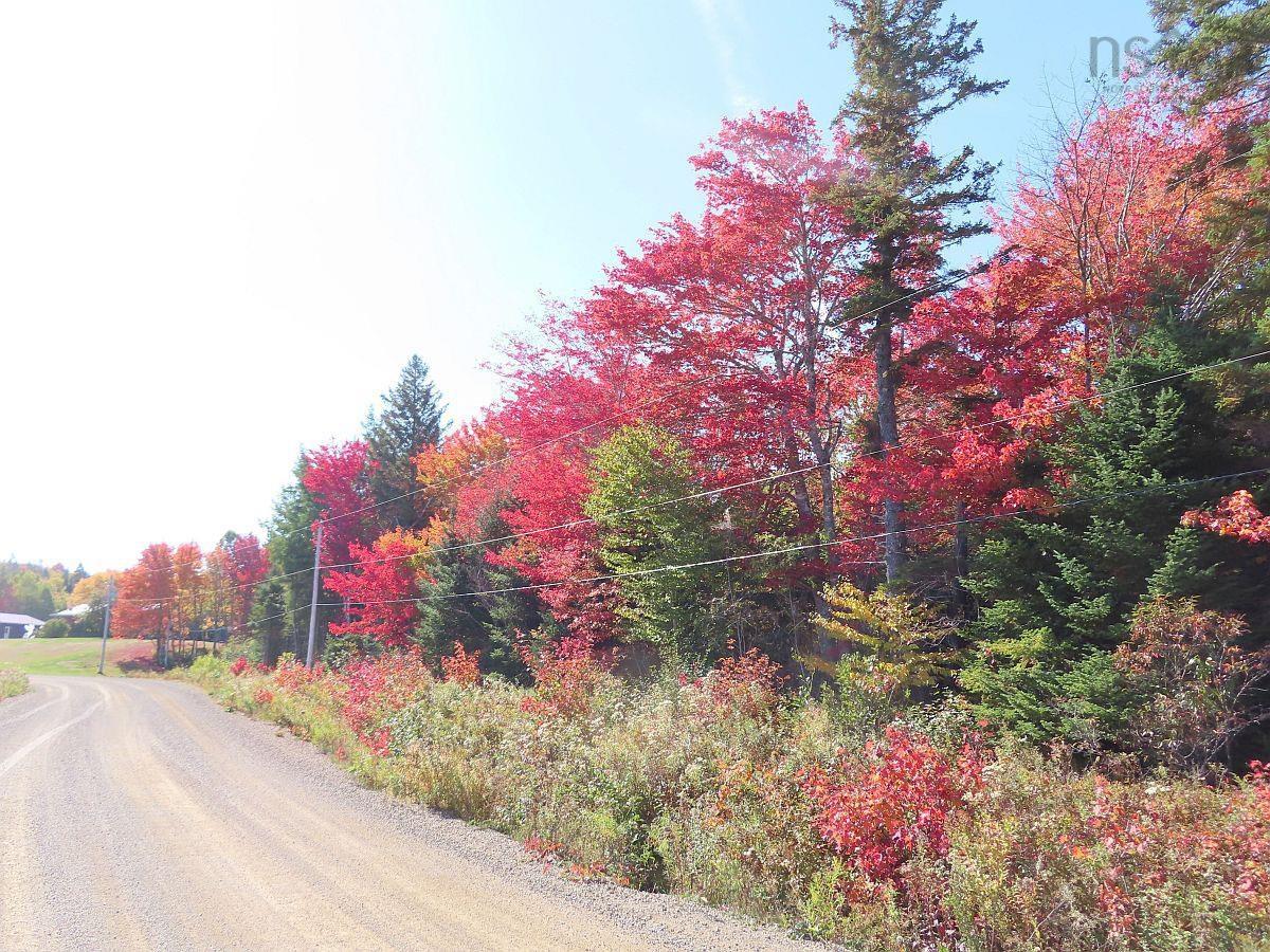 $159,000.00: 128.5 Acres West Side Road, West Side Country Harbour