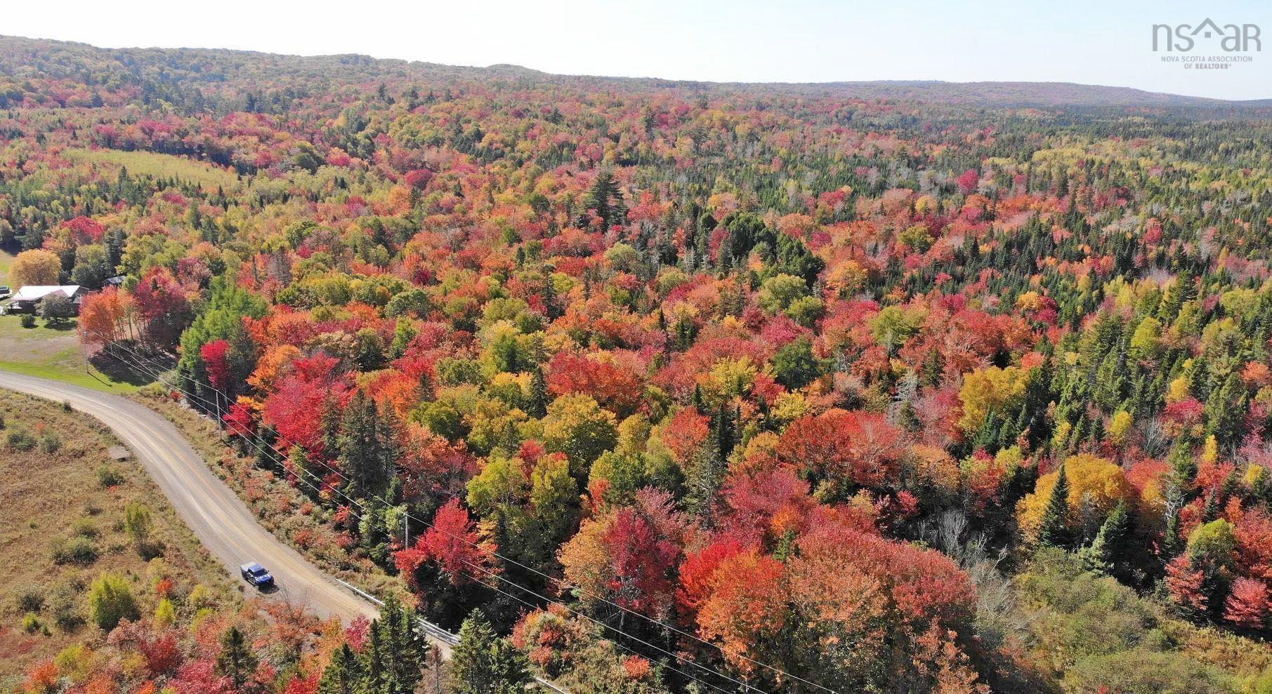 $159,000.00: 128.5 Acres West Side Road, West Side Country Harbour