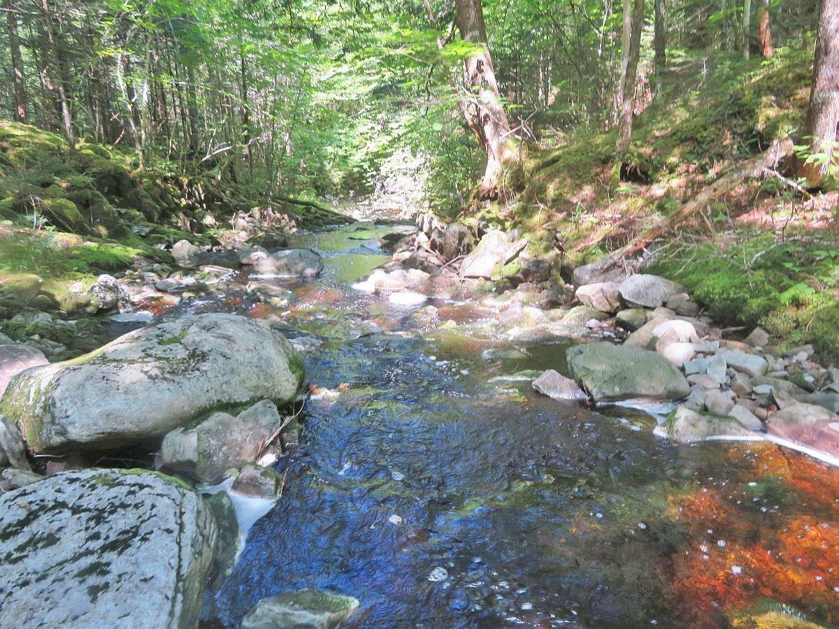 $159,000.00: 128.5 Acres West Side Road, West Side Country Harbour