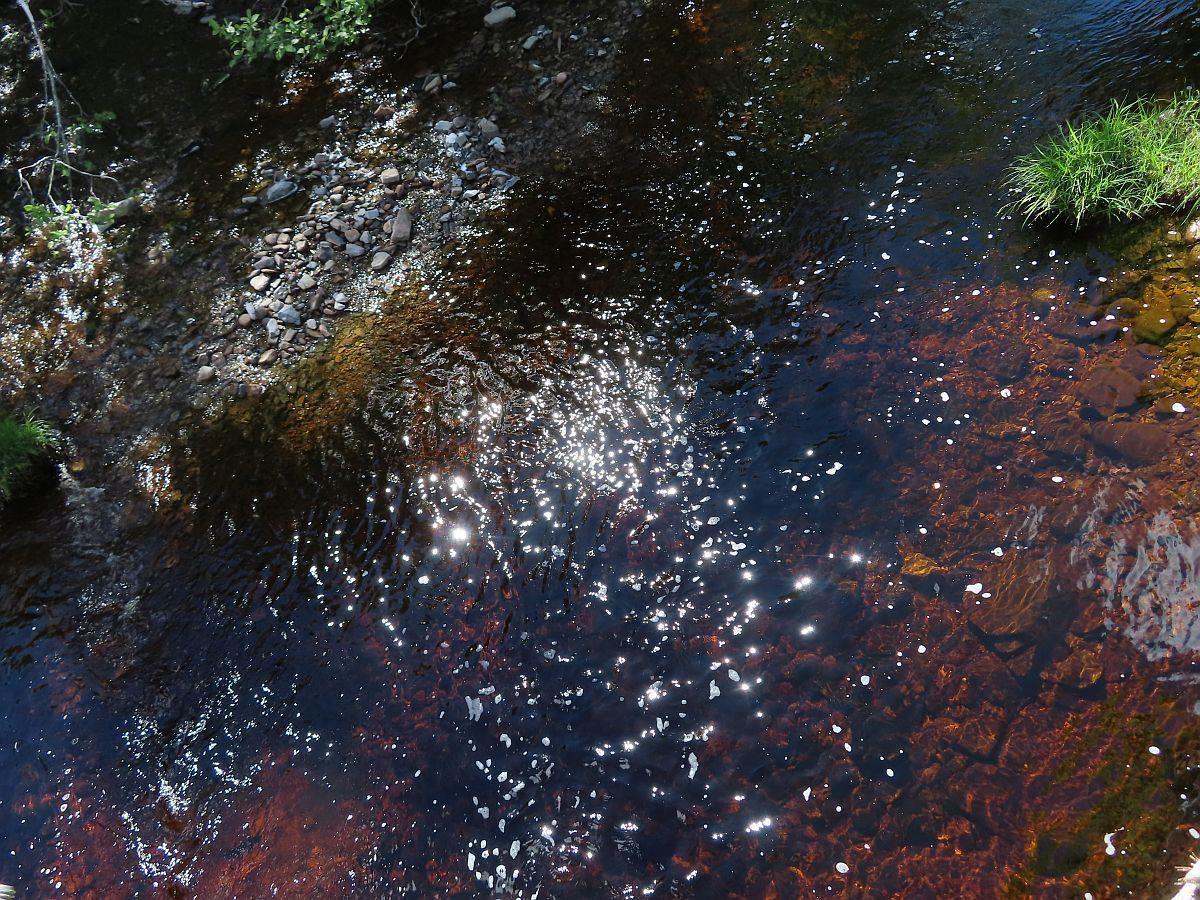 $159,000.00: 128.5 Acres West Side Road, West Side Country Harbour