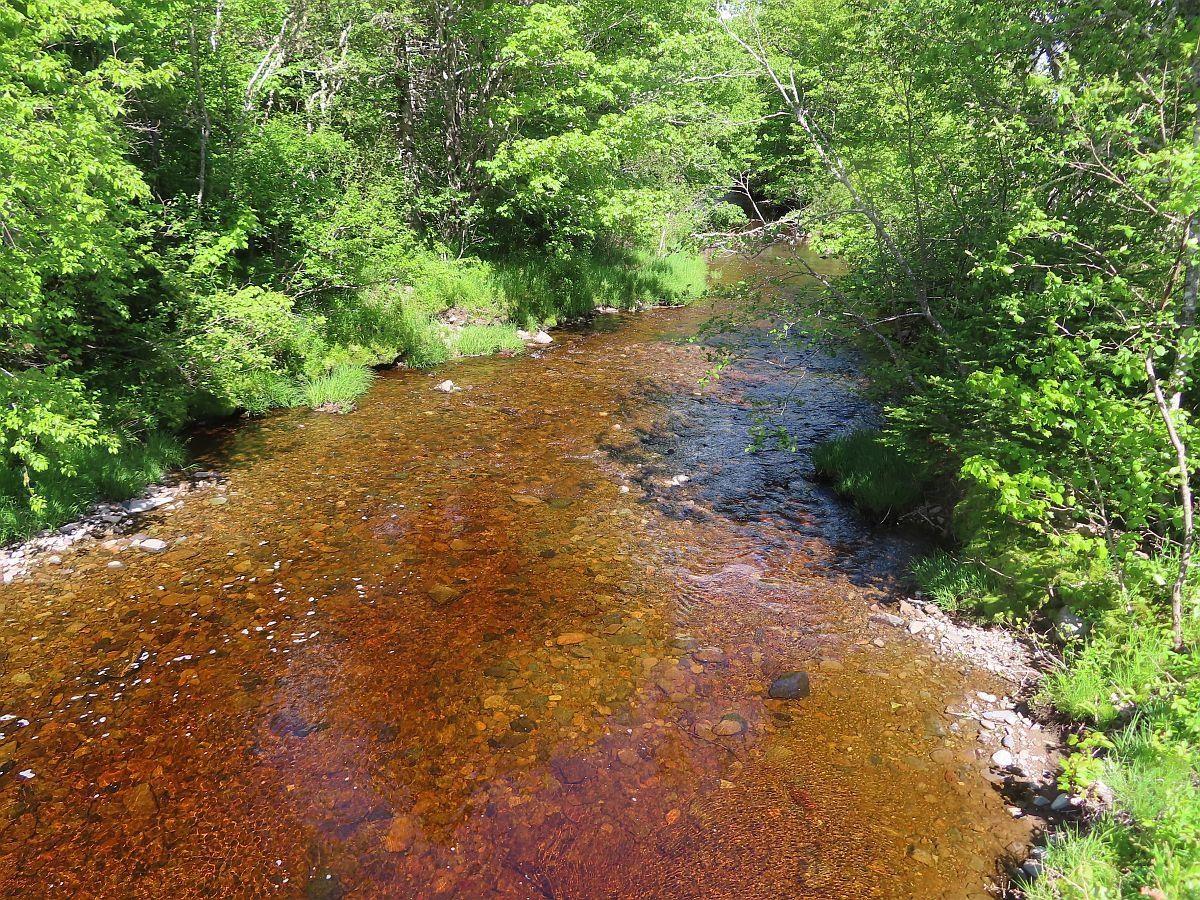 $159,000.00: 128.5 Acres West Side Road, West Side Country Harbour