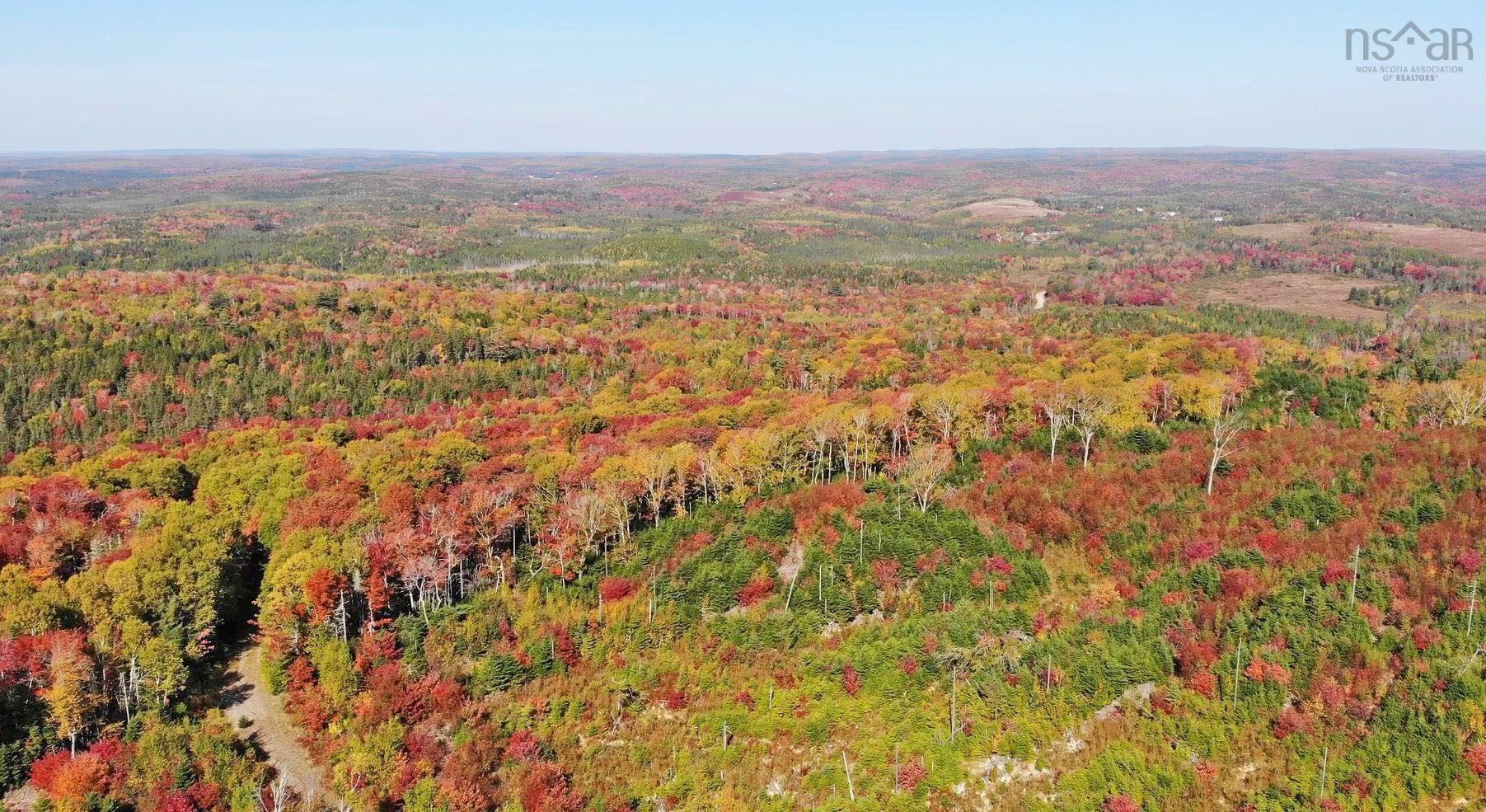 $159,000.00: 128.5 Acres West Side Road, West Side Country Harbour