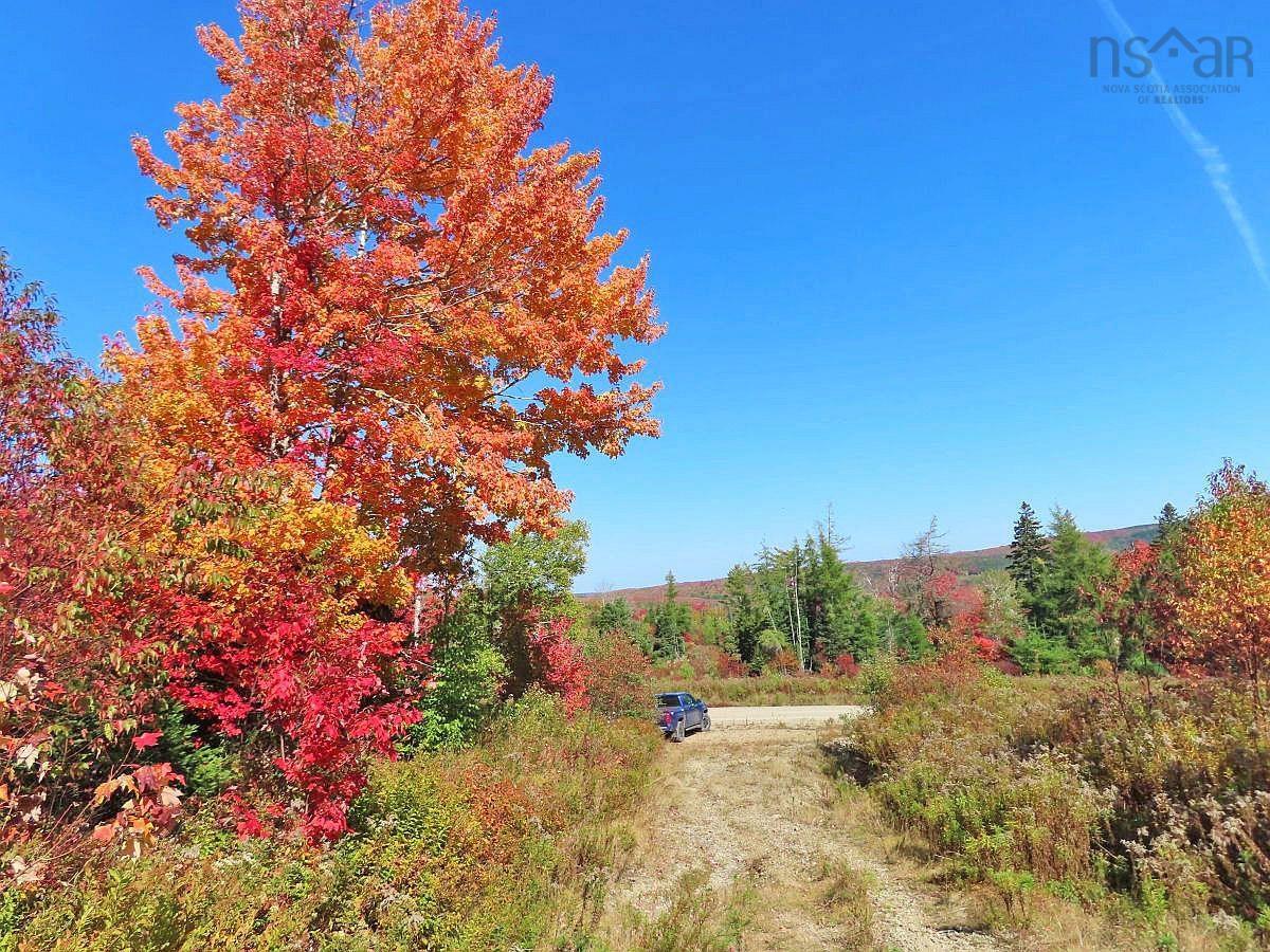 $159,000.00: 128.5 Acres West Side Road, West Side Country Harbour