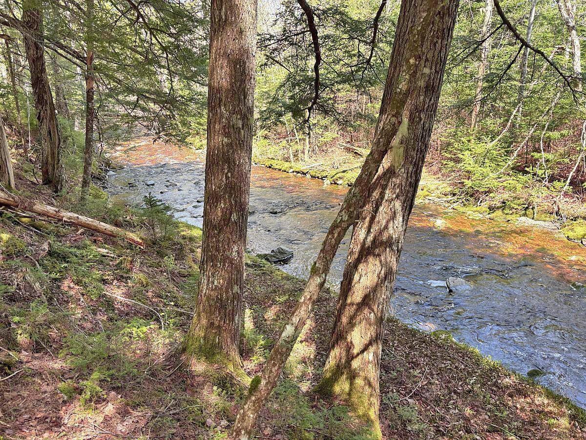 $159,000.00: 128.5 Acres West Side Road, West Side Country Harbour