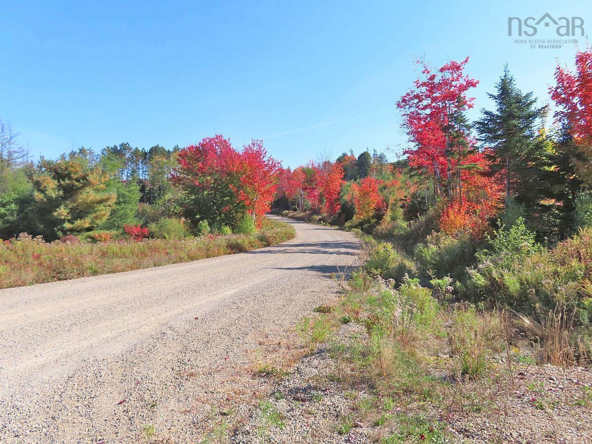 $159,000.00: 128.5 Acres West Side Road, West Side Country Harbour